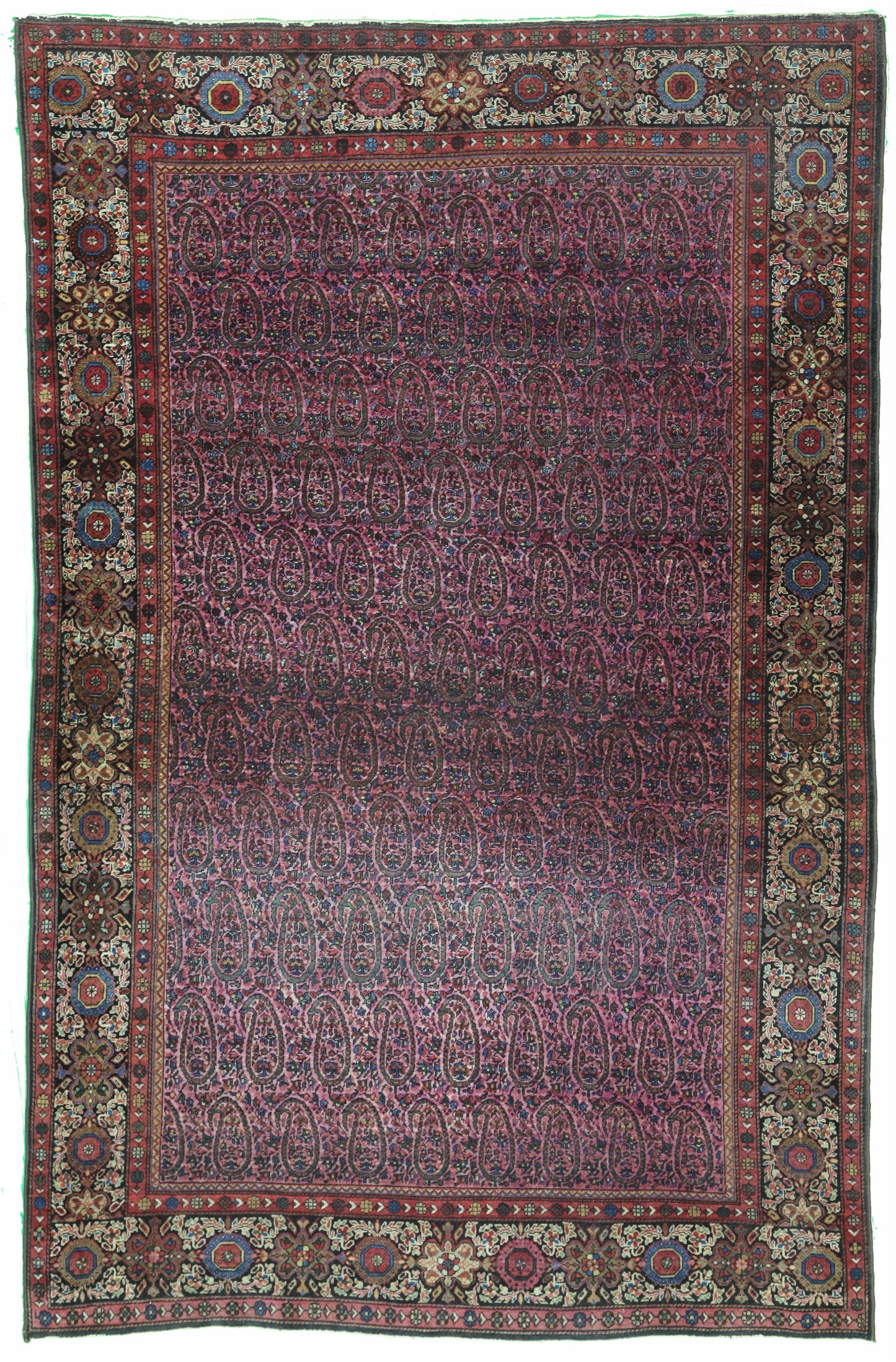 AORug#12066 size. 4' 02" x 6' 05"