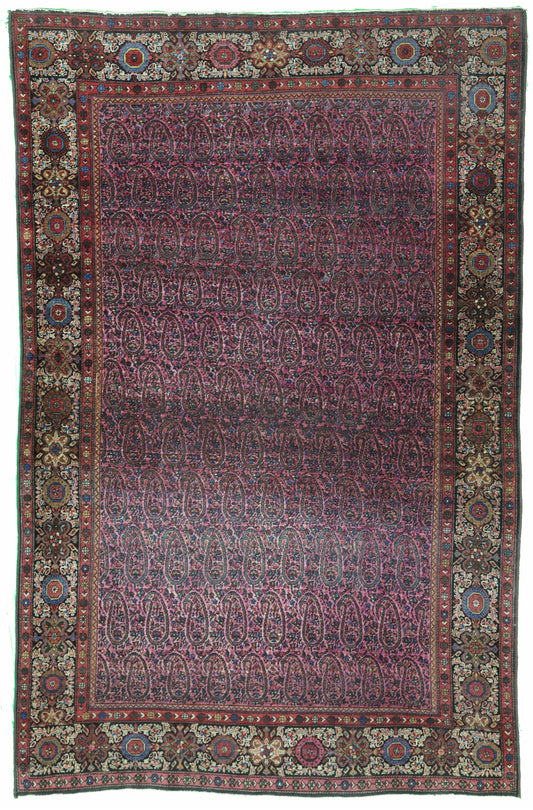 AORug#12066 size. 4' 02" x 6' 05"