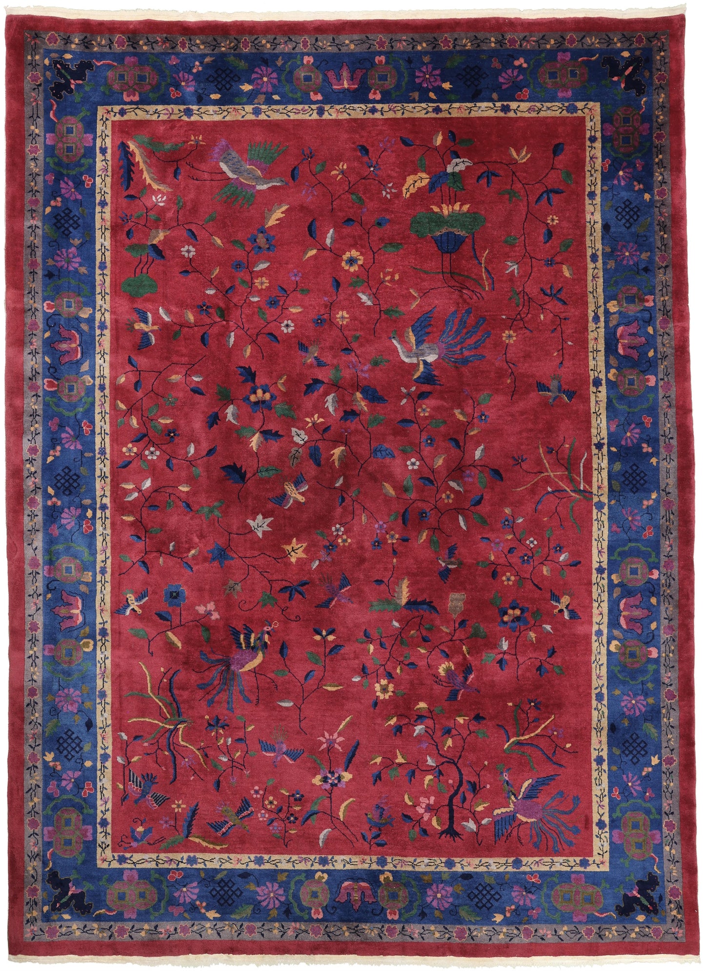 AORug#1913 size. 9' 11" x 13' 06"