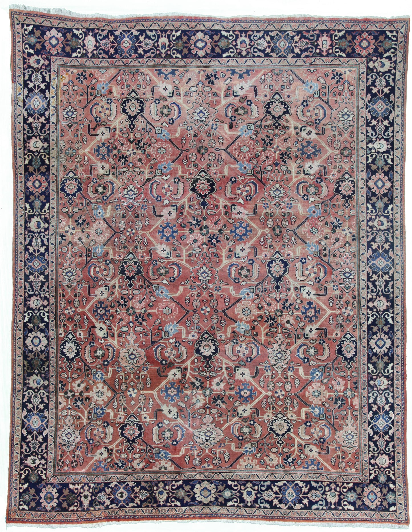 AORug#12858 size. 9' 02" x 11' 08"
