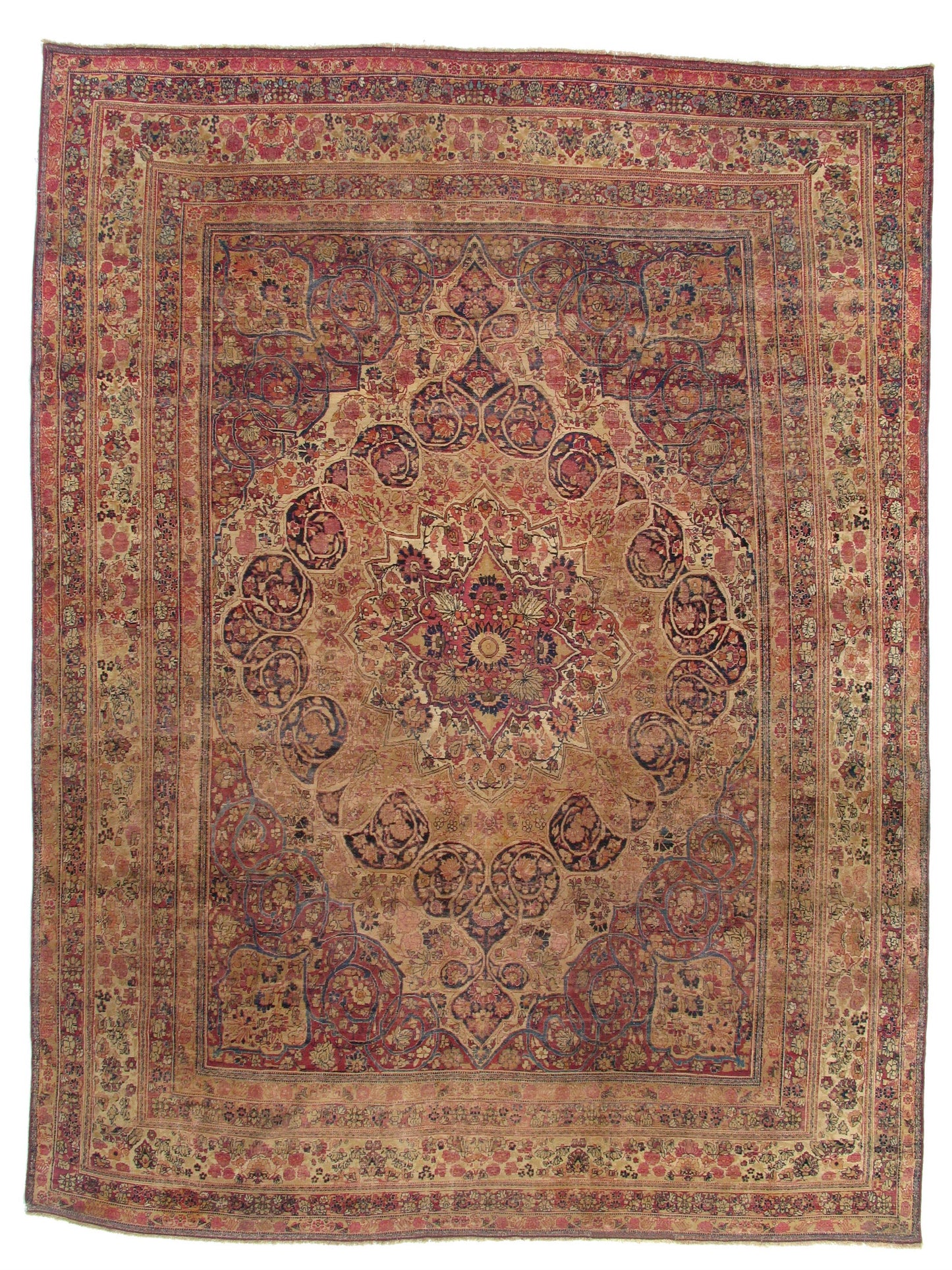 AORug#5843 size. 9' 07" x 12' 09"
