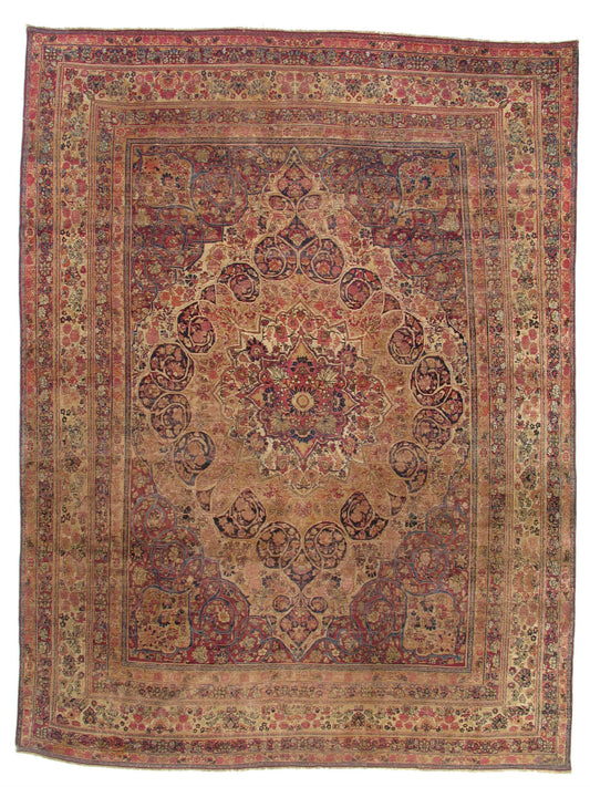 AORug#5843 size. 9' 07" x 12' 09"