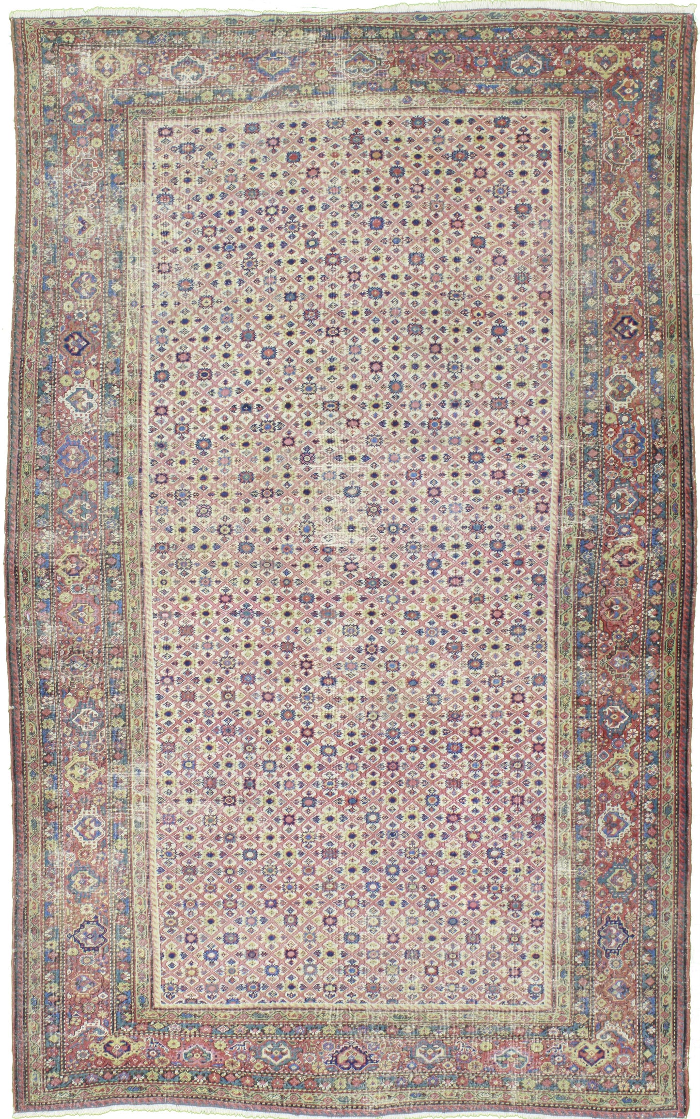 AORug#12702 size. 7' 04" x 11' 10"