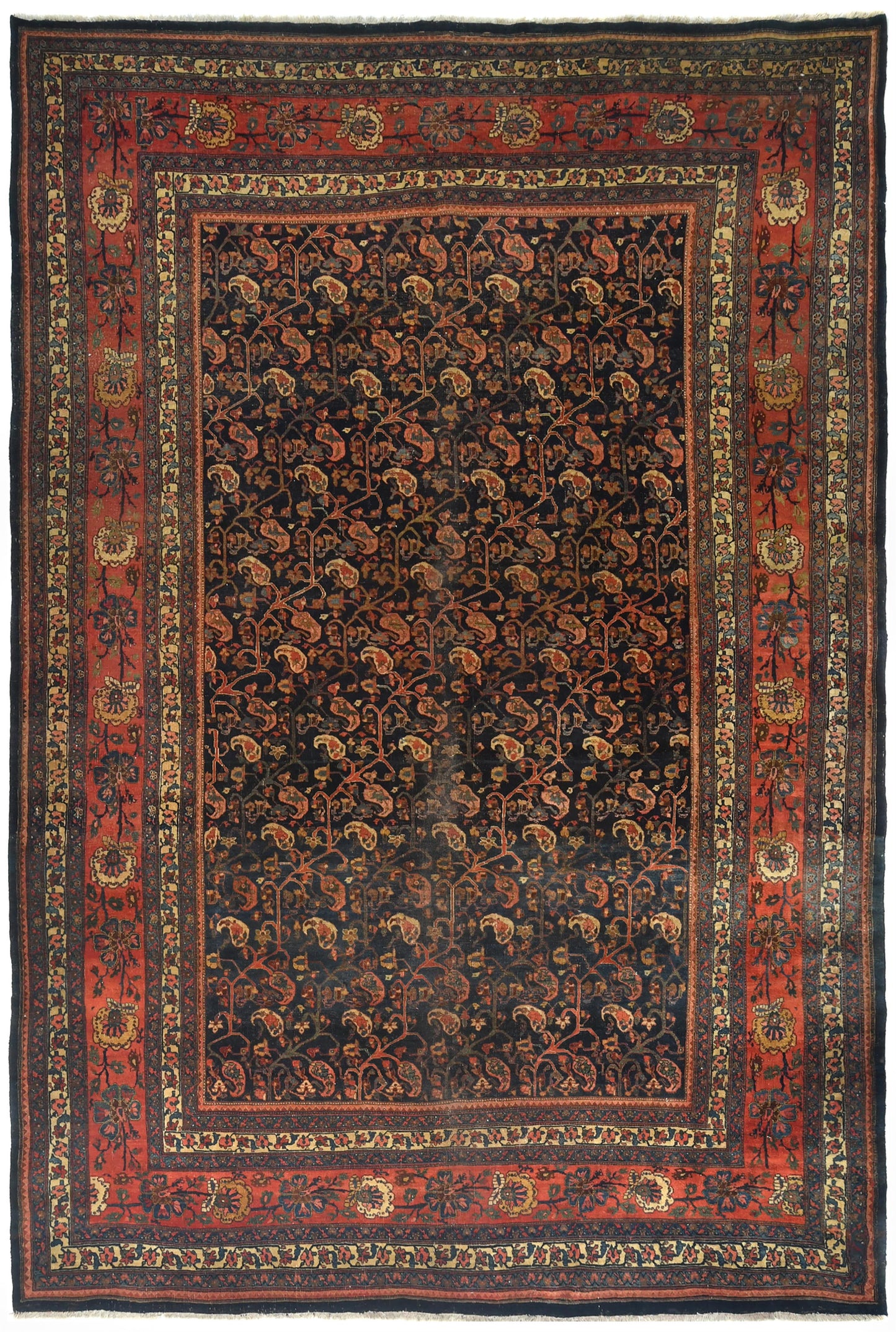 AORug#14605 size. 9' 01" x 13' 09"