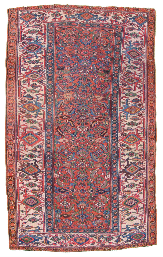 AORug#4074 size. 4' 02" x 6' 10"