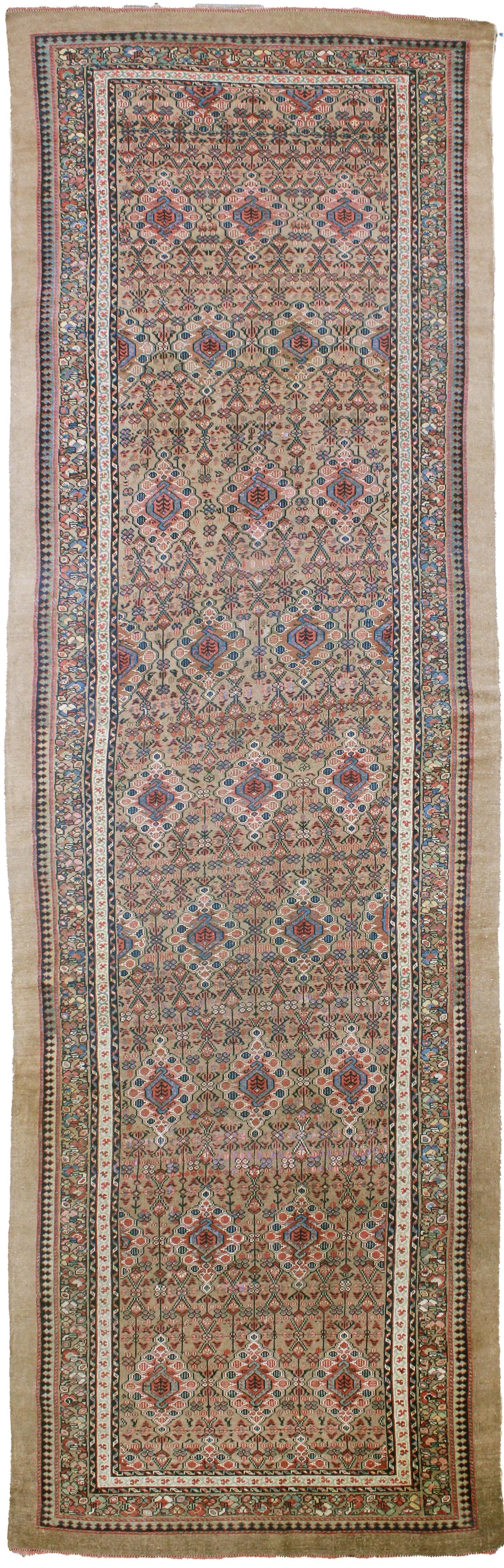 AORug#12760 size. 5' 08" x 17' 10"