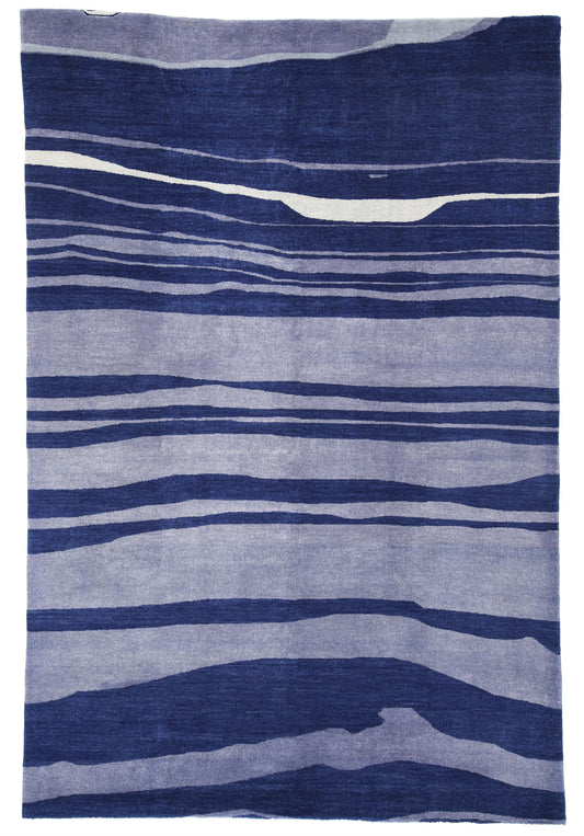 AORug#2290 size. 6' 03" x 9' 05"