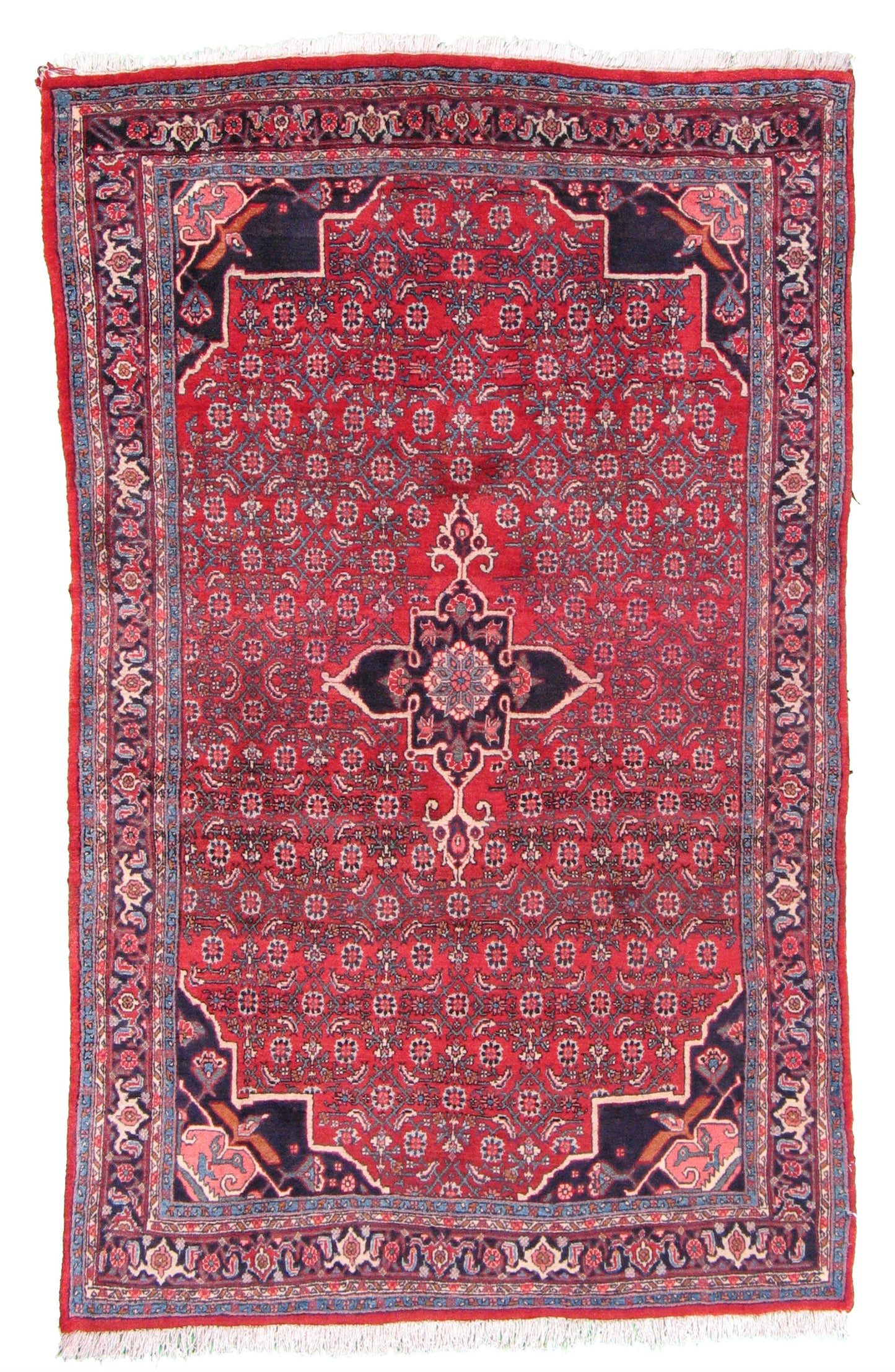 AORug#5252 size. 4' 04" x 7' 01"