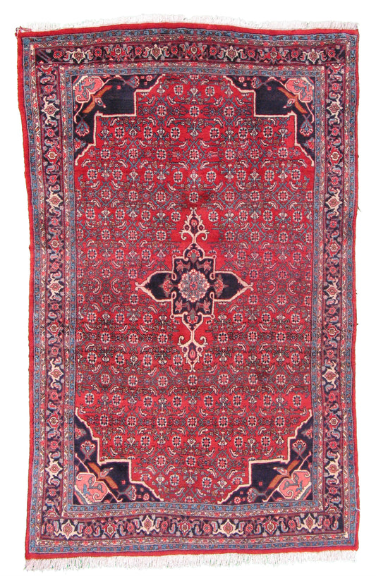 AORug#5252 size. 4' 04" x 7' 01"