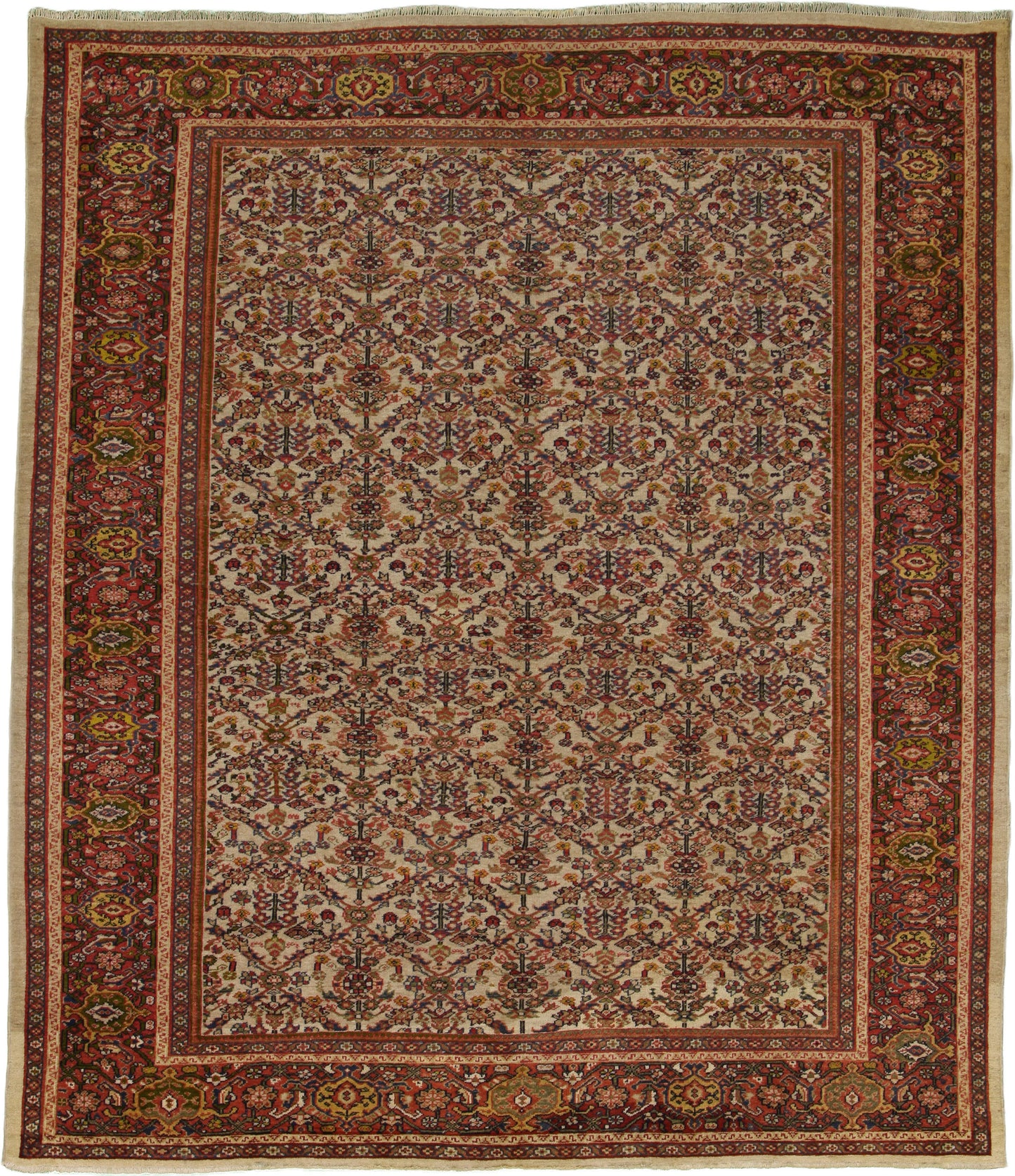 AORug#16370 size. 8' 09" x 10' 00"