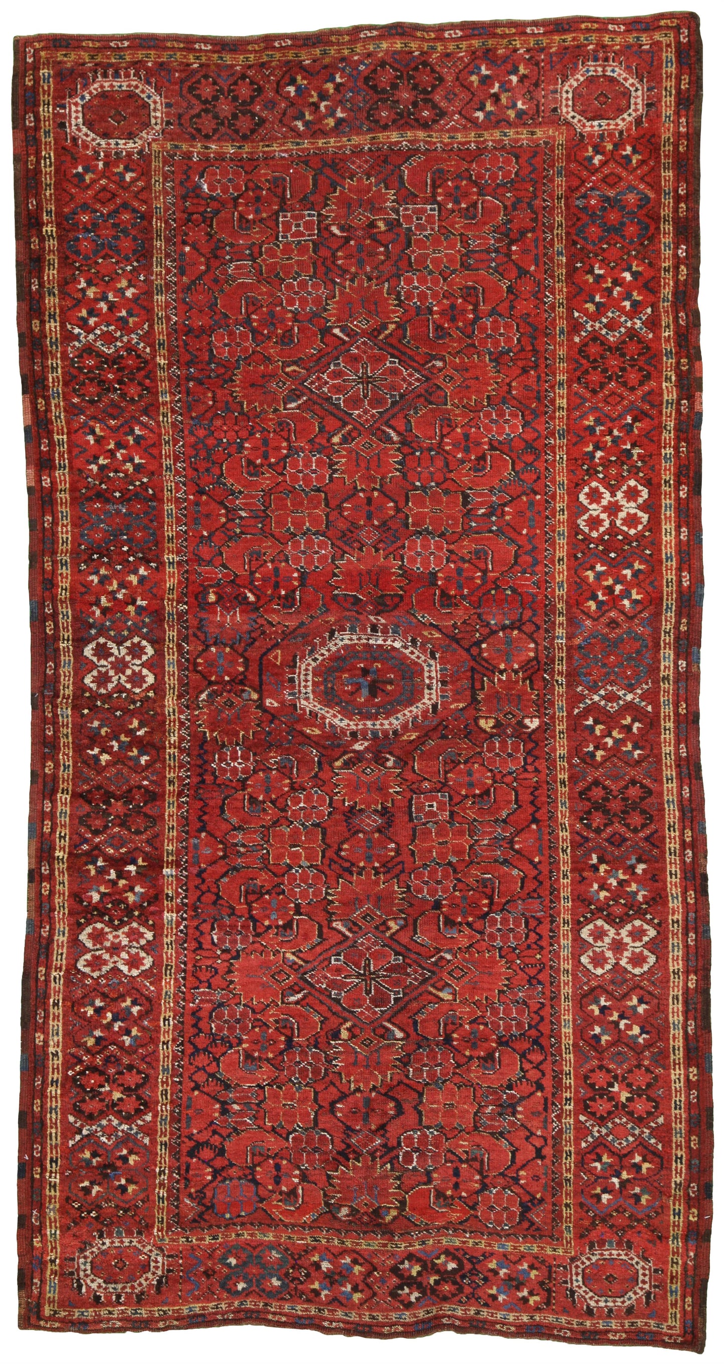 AORug#17519 size. 4' 00" x 7' 10"