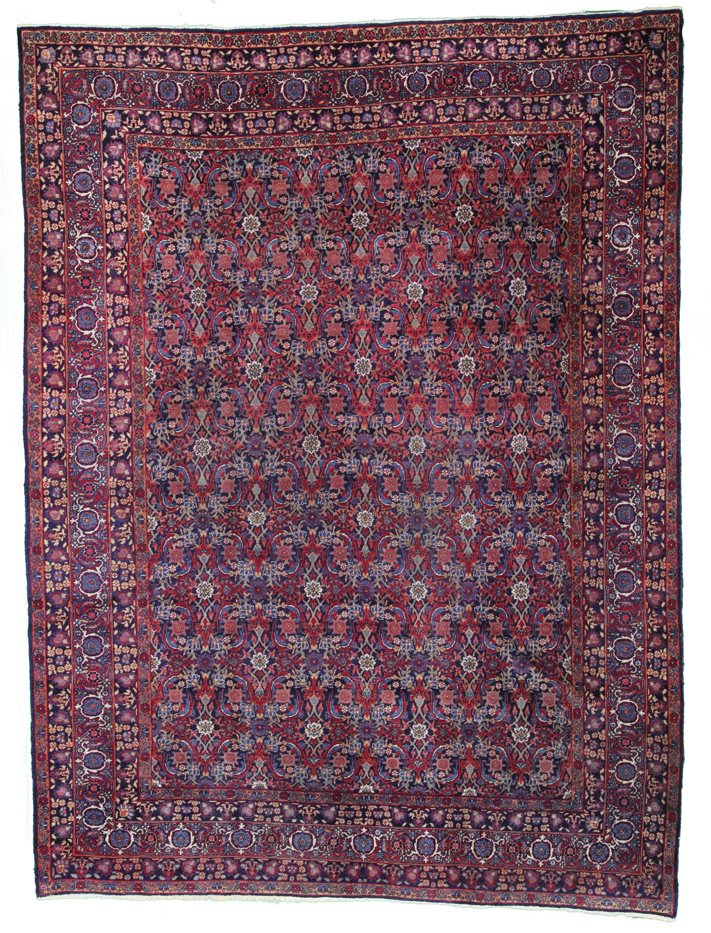 AORug#13404 size. 8' 04" x 11' 00"