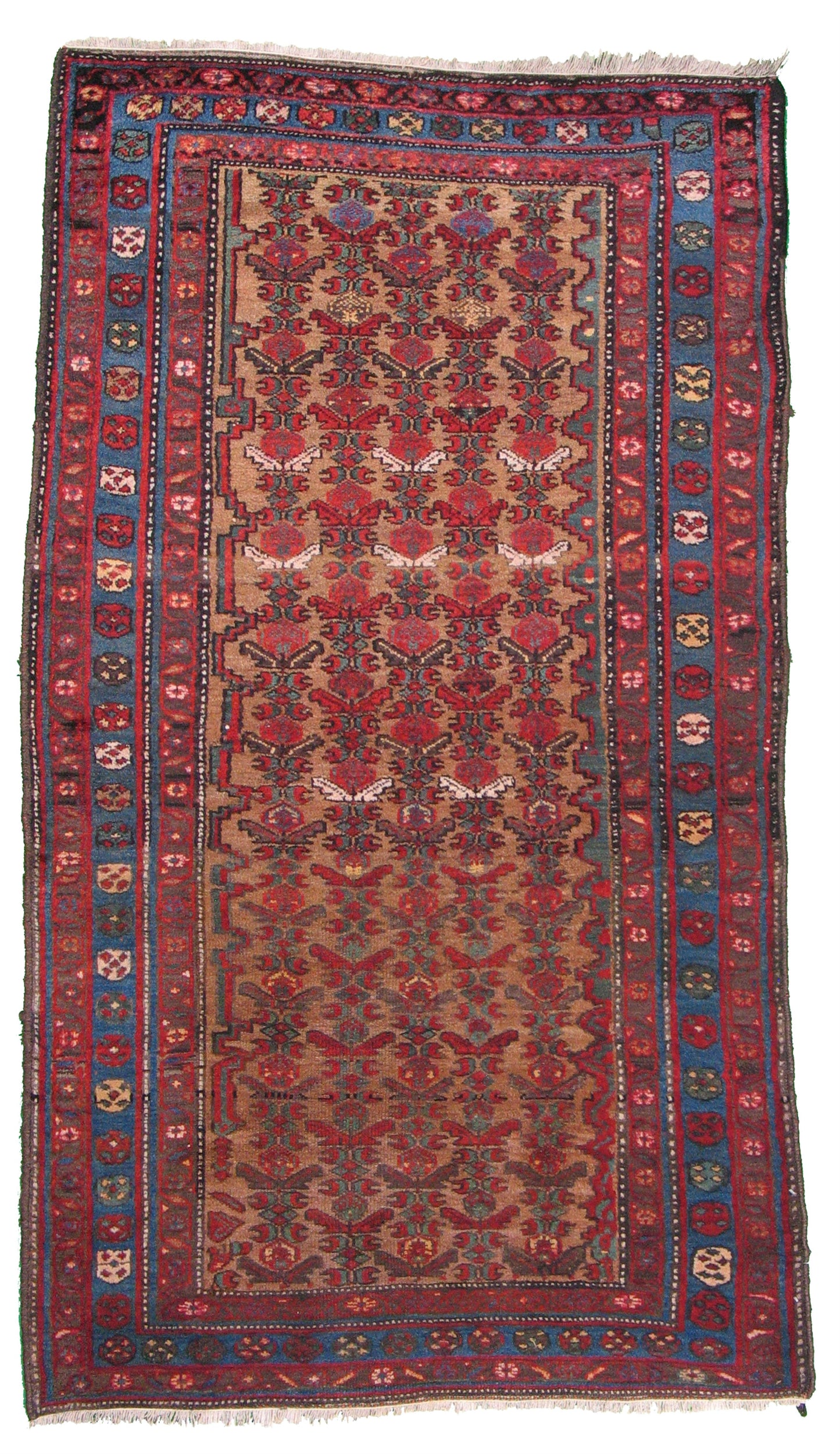AORug#4076 size. 4' 00" x 7' 00"
