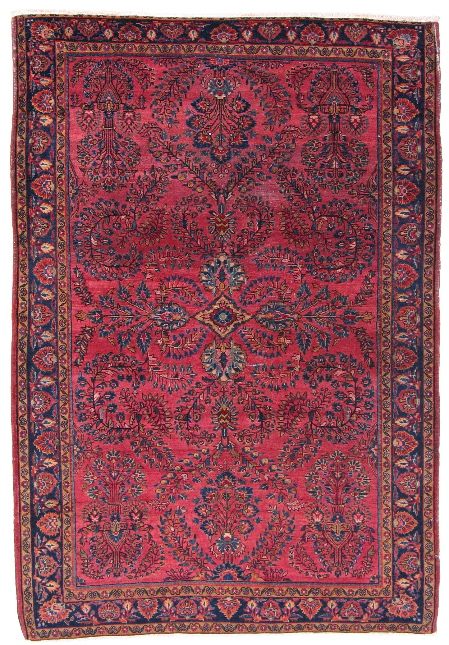 AORug#3962 size. 4' 04" x 6' 04"