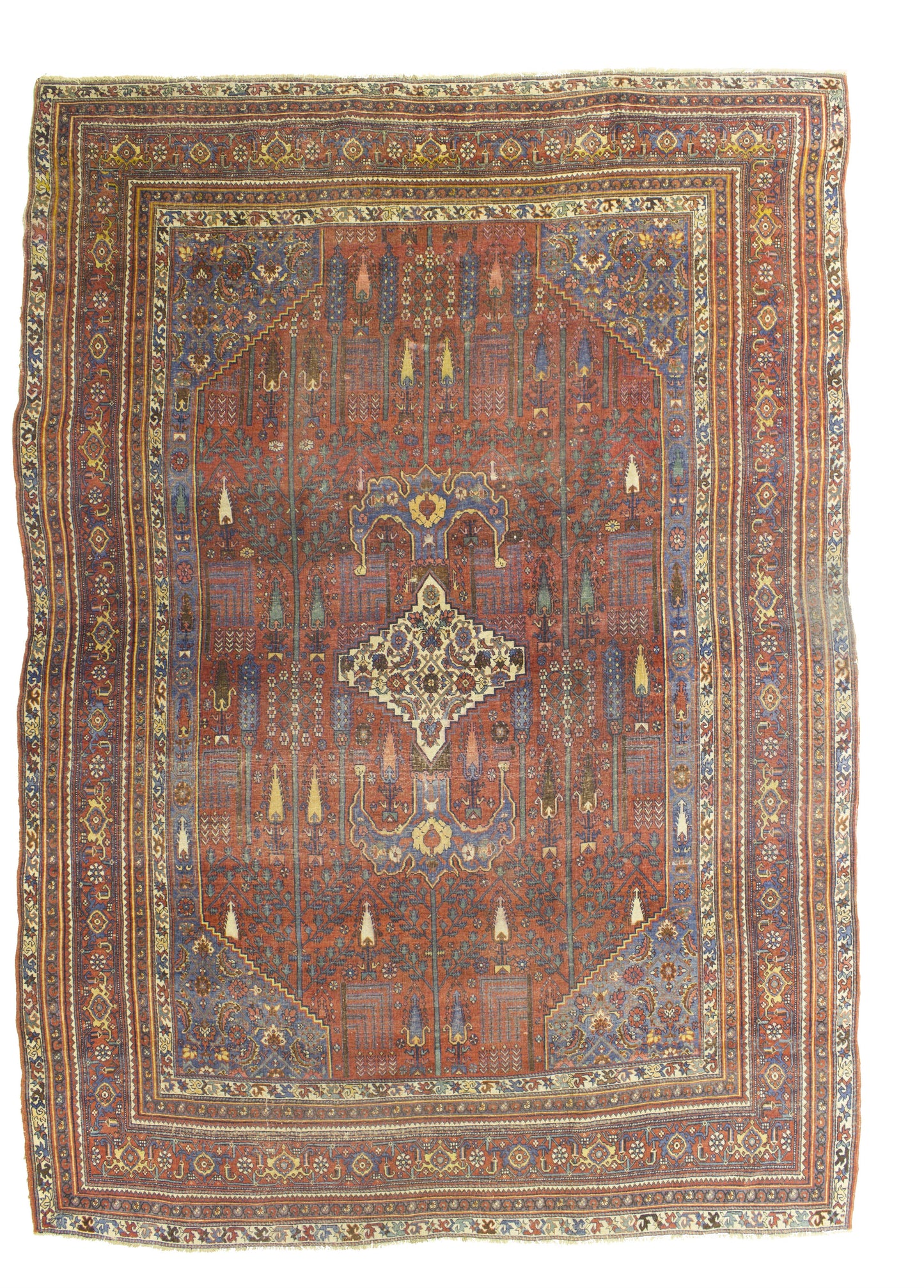 AORug#9839 size. 8' 03" x 11' 07"