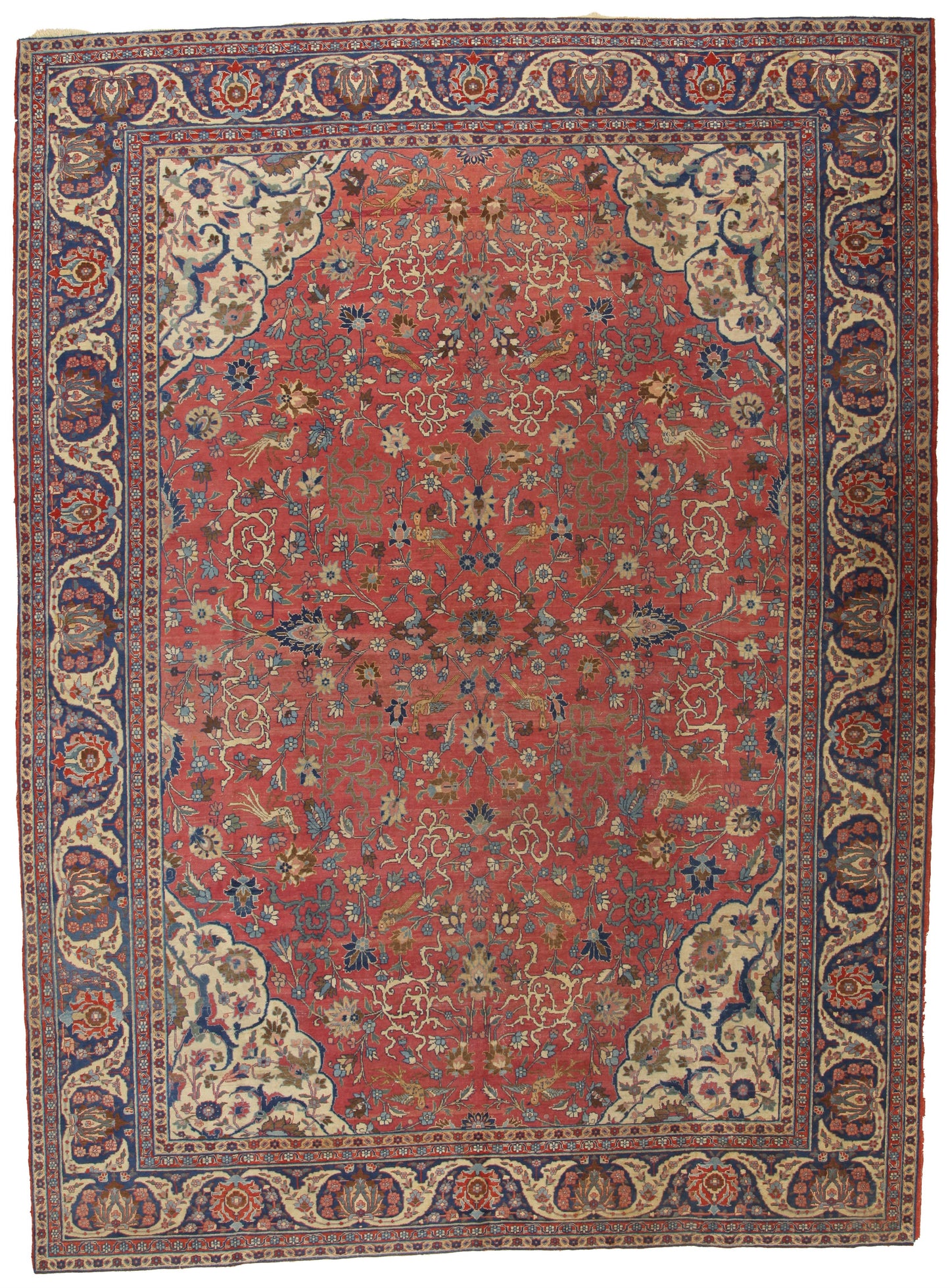 AORug#14489 size. 11' 00" x 14' 08"