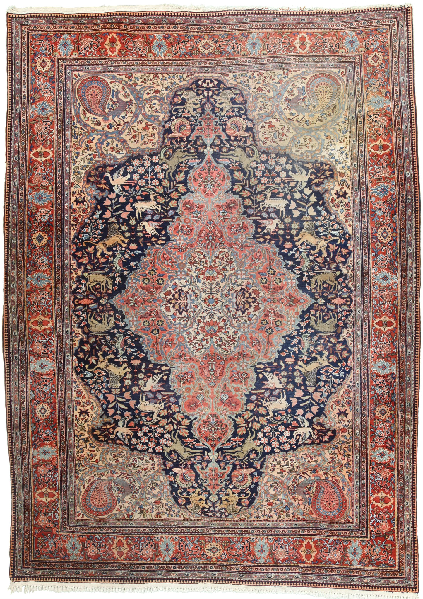 AORug#10660 size. 9' 00" x 12' 04"