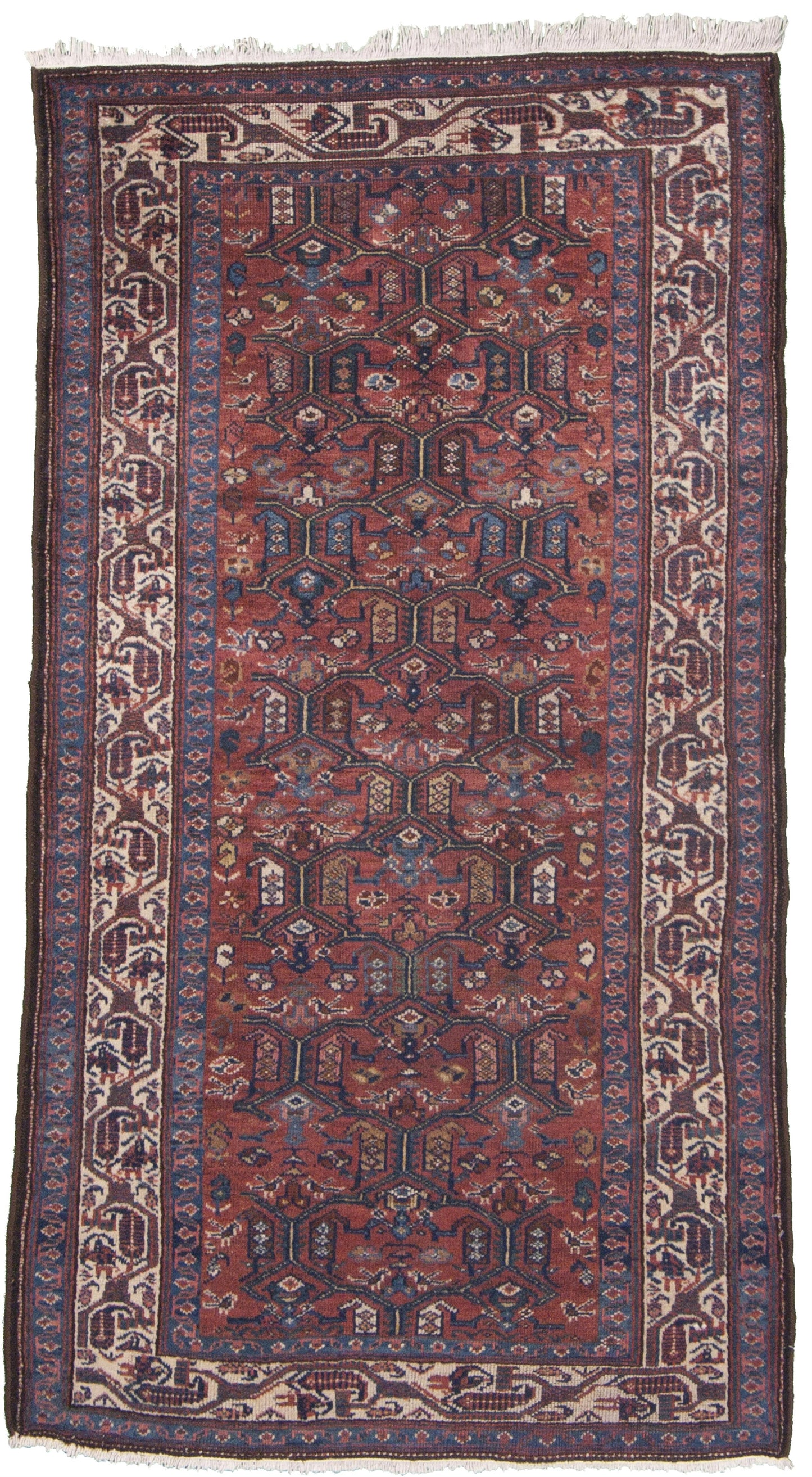 AORug#3951 size. 3' 05" x 6' 02"
