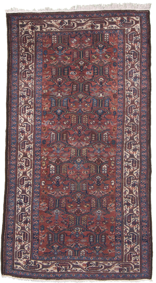 AORug#3951 size. 3' 05" x 6' 02"