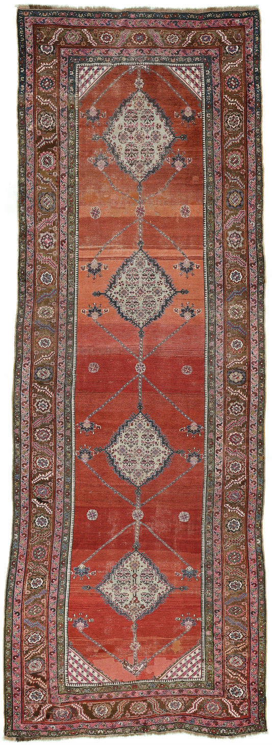 AORug#19125 size. 5' 11" x 17' 04"