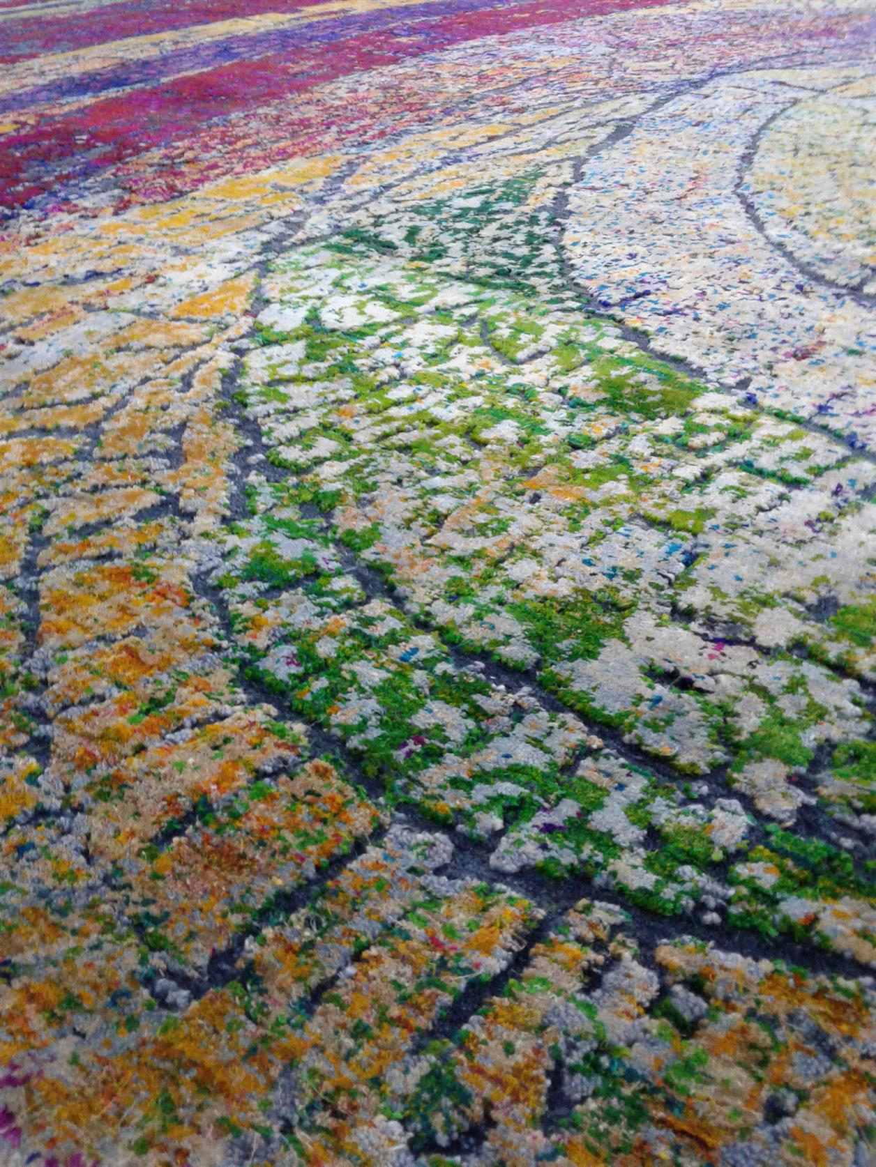 AORug#10501 size. 10'0" X 14'0"