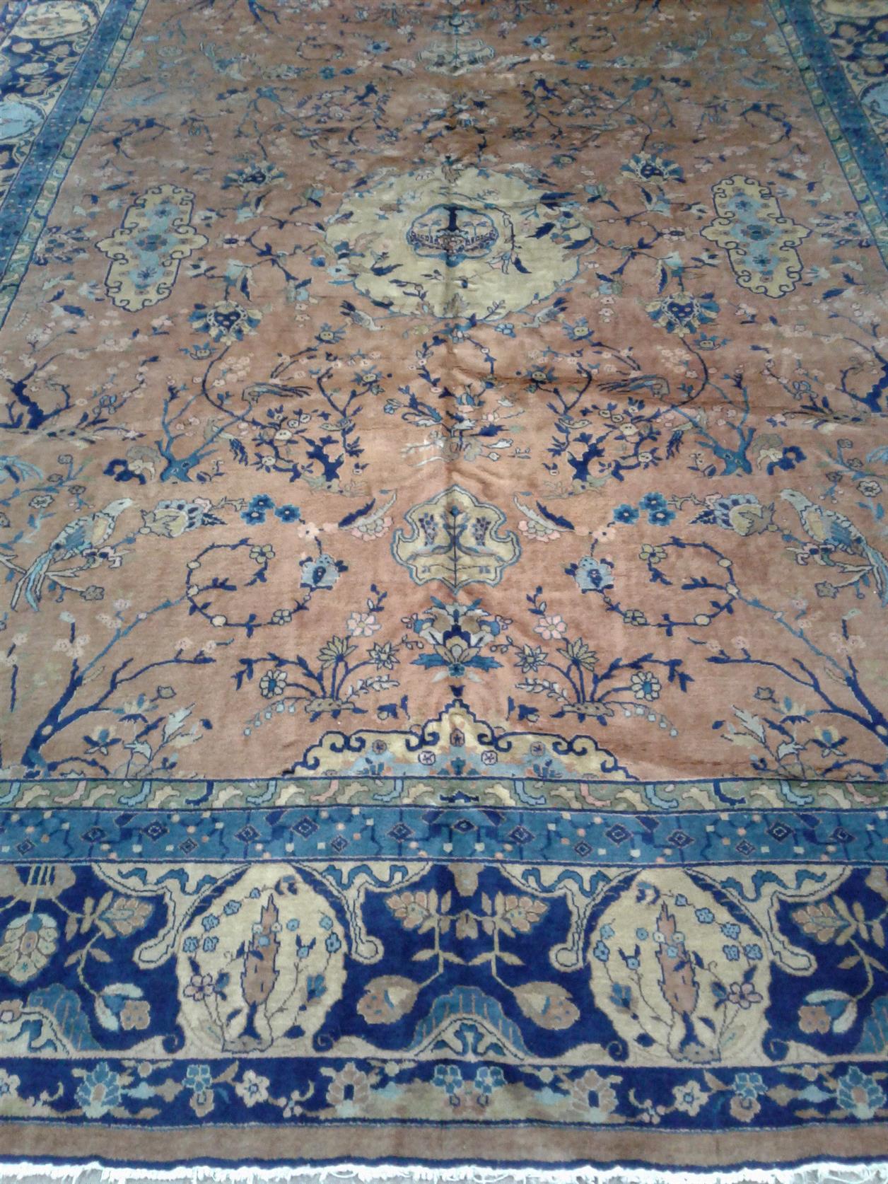 AORug#2544 size. 9' 03" x 12' 04"