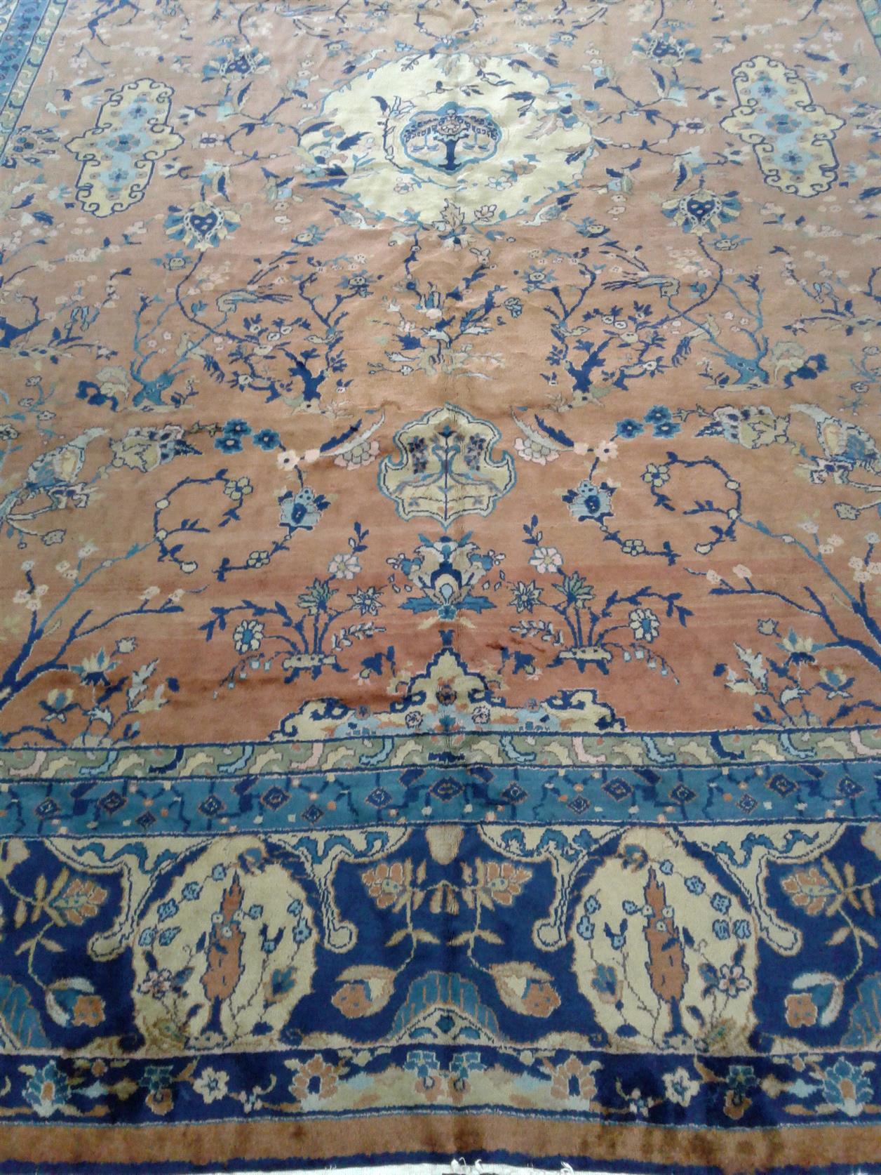 AORug#2544 size. 9' 03" x 12' 04"