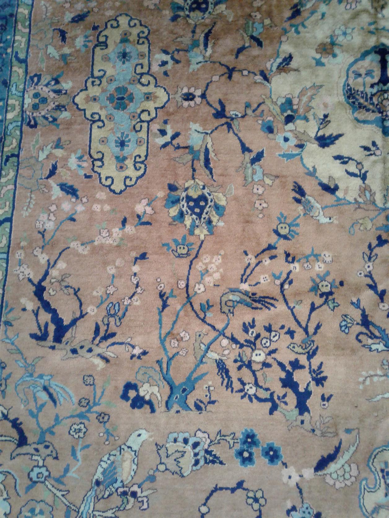 AORug#2544 size. 9' 03" x 12' 04"