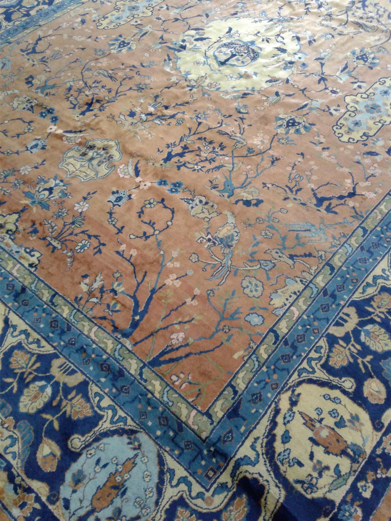 AORug#2544 size. 9' 03" x 12' 04"