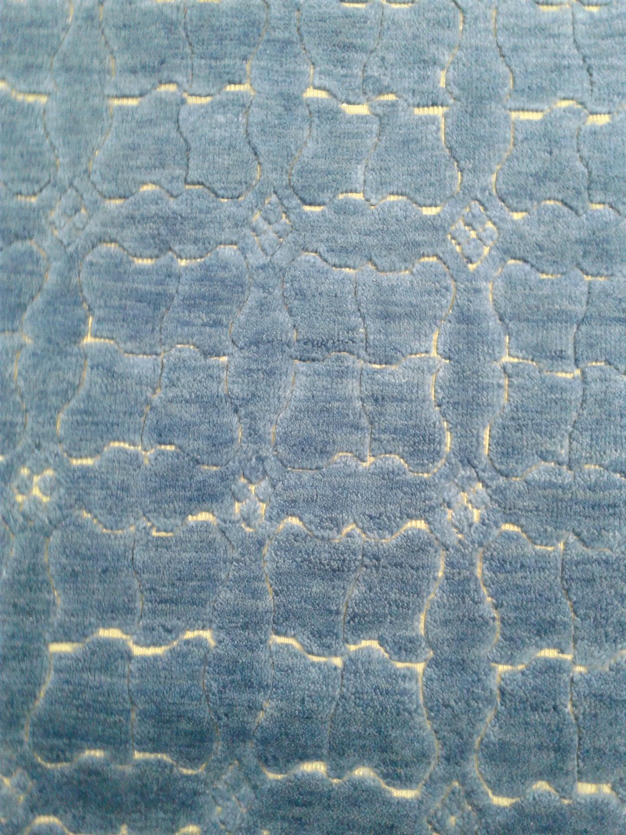 AORug#8807 size. 7' 04" x 10' 05"