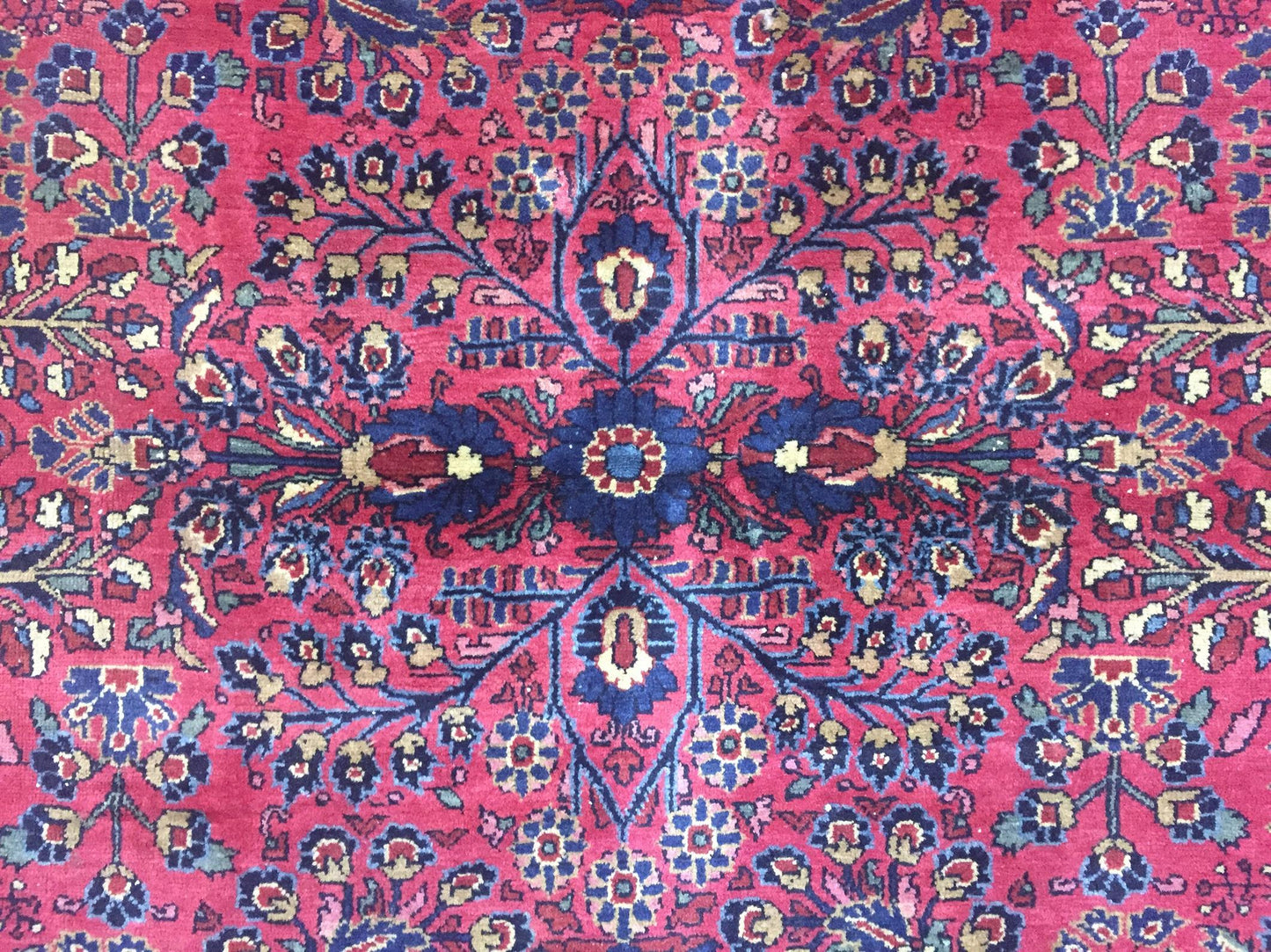 AORug#12631 size. 8' 08" x 12' 01"