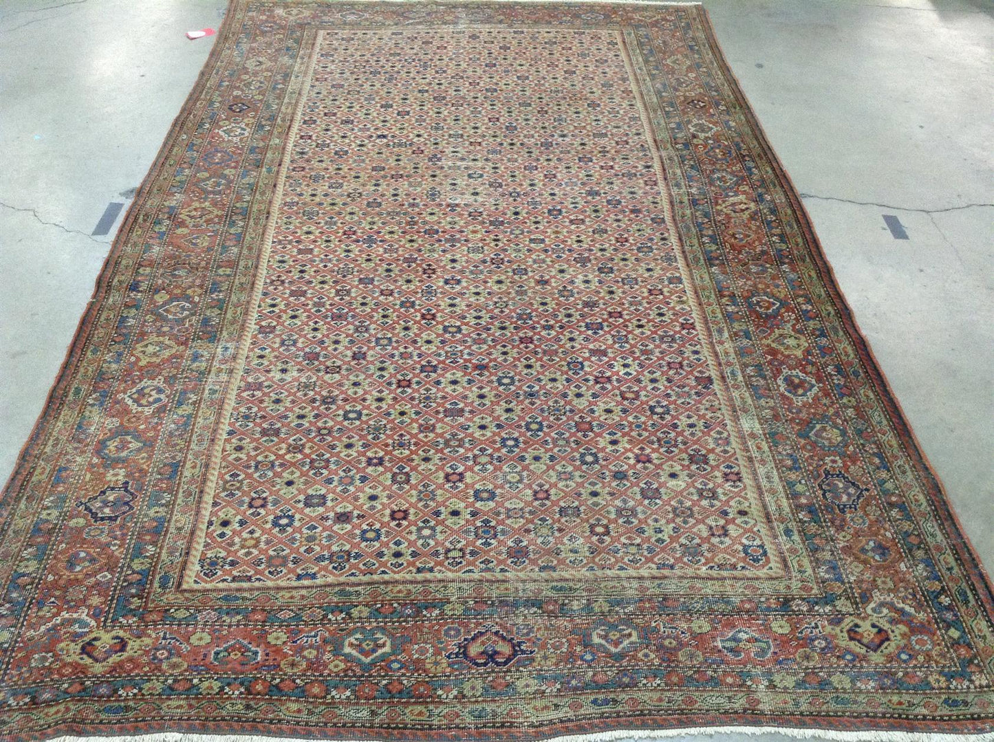 AORug#12702 size. 7' 04" x 11' 10"