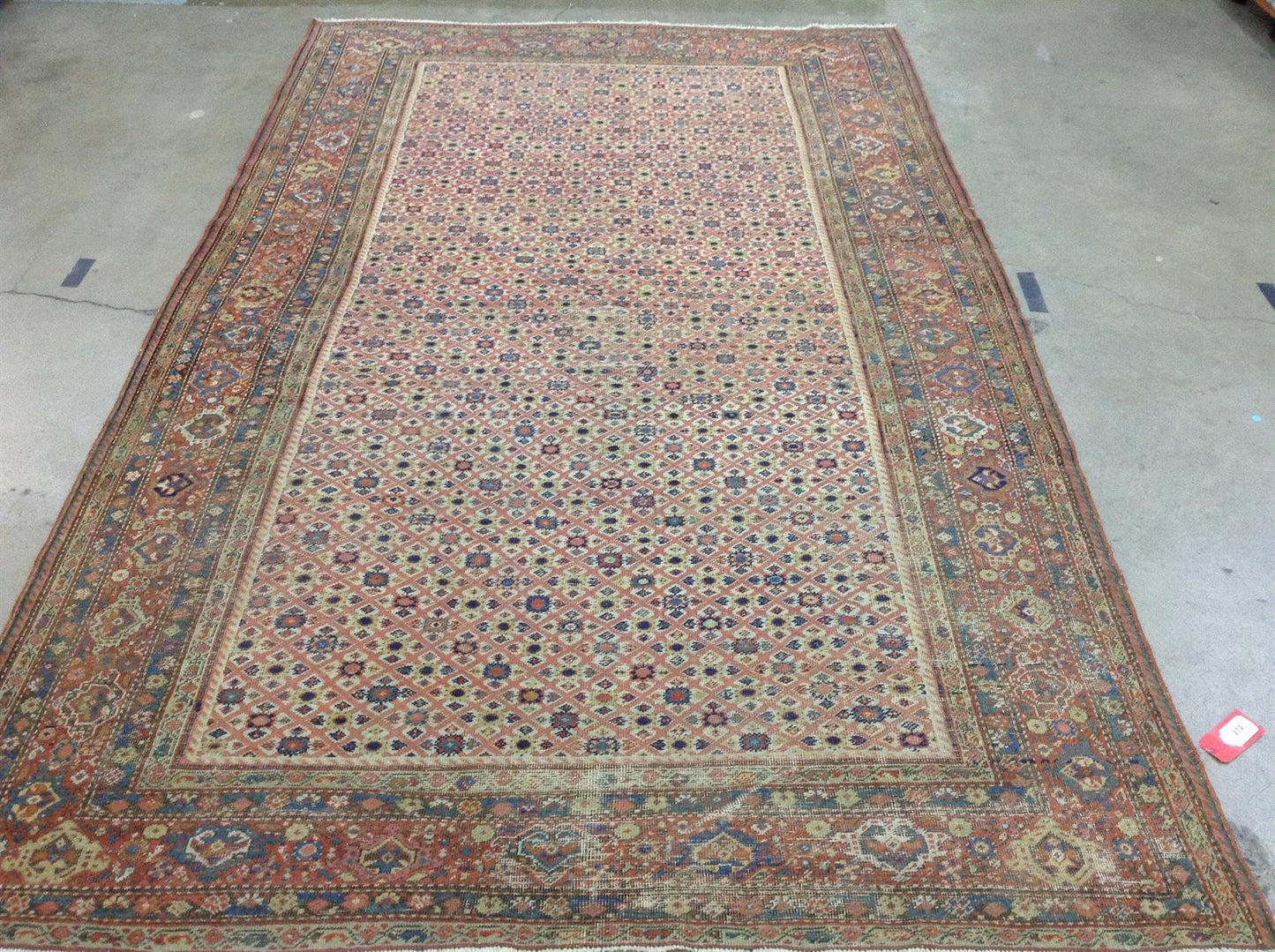 AORug#12702 size. 7' 04" x 11' 10"