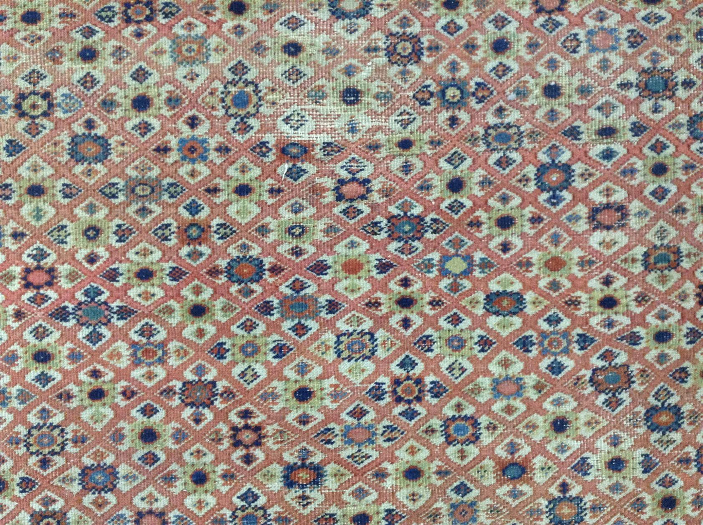 AORug#12702 size. 7' 04" x 11' 10"