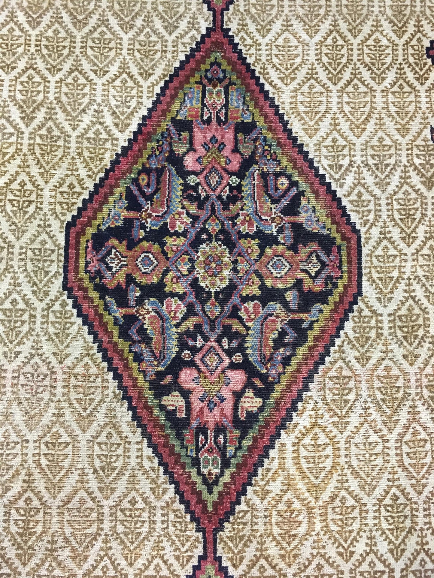 AORug#12853 size. 5' 02" x 10' 02"