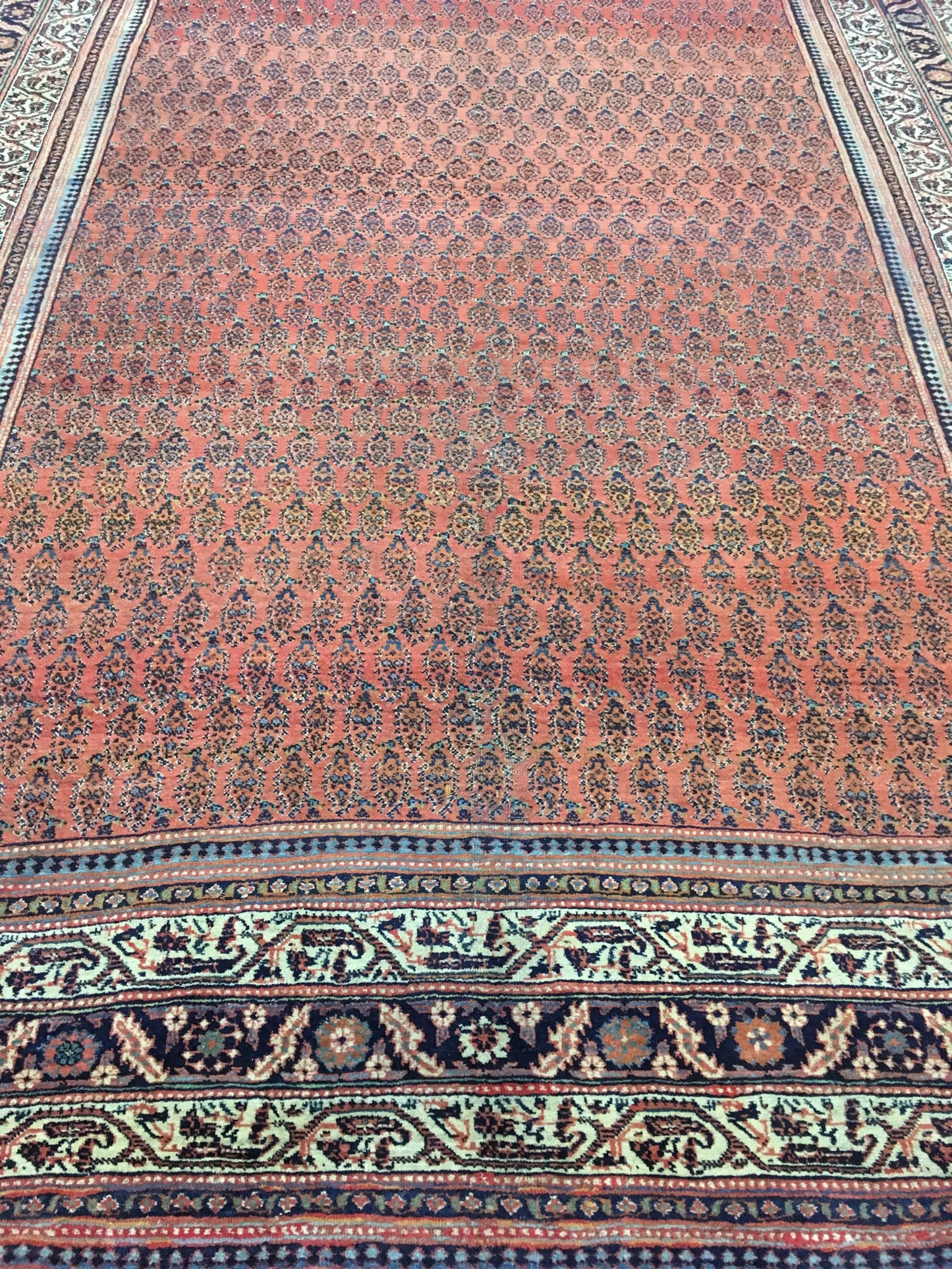 AORug#12856 size. 8' 03" x 19' 03"