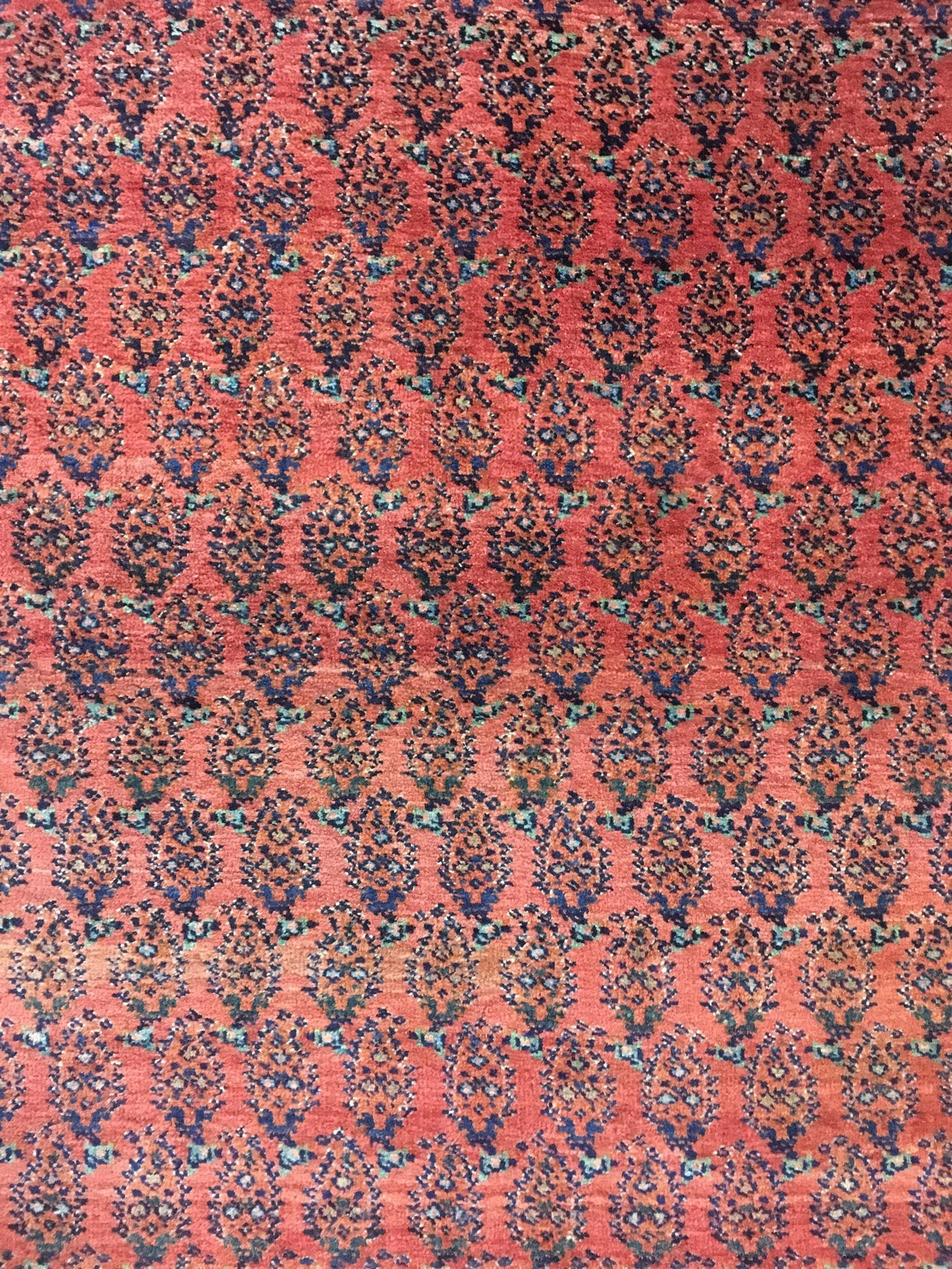 AORug#12856 size. 8' 03" x 19' 03"