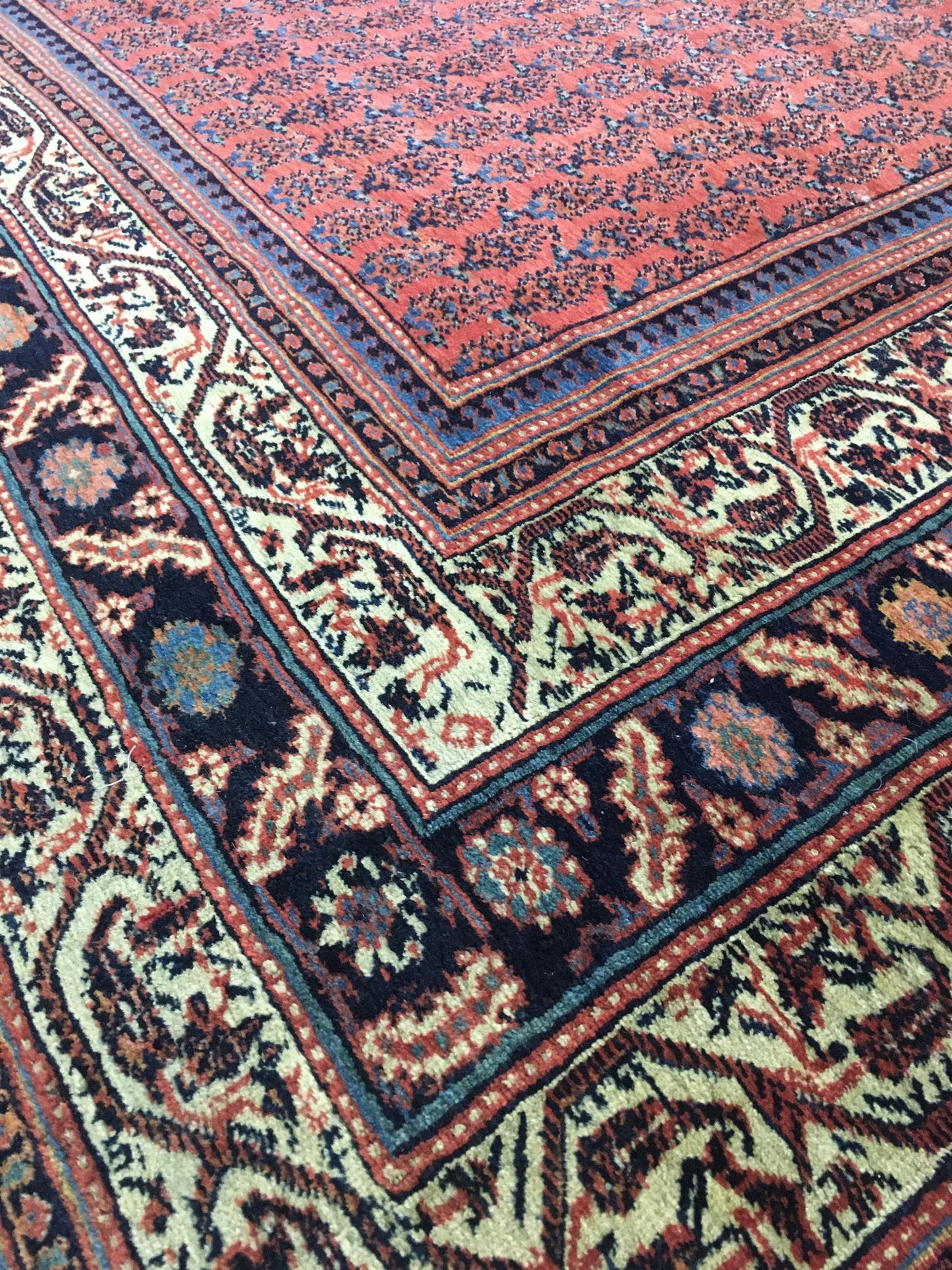 AORug#12856 size. 8' 03" x 19' 03"