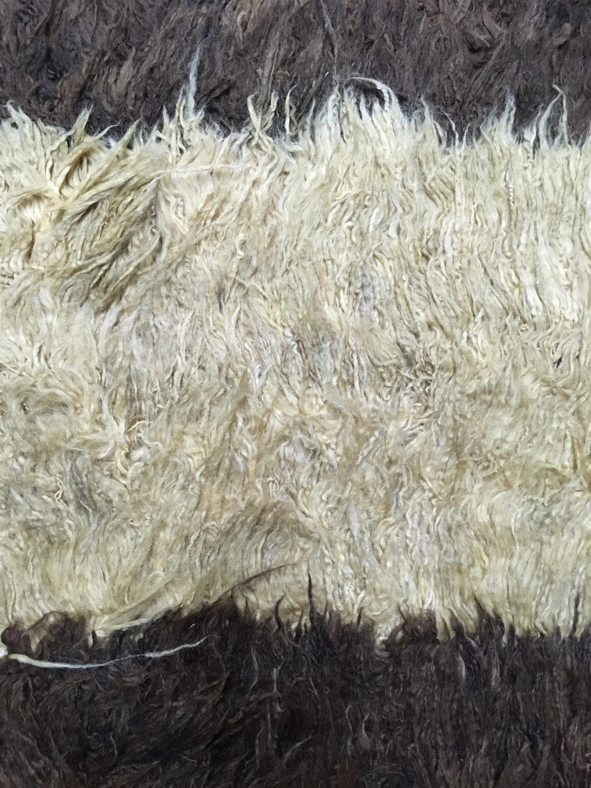 AORug#8592 size. 3' 03" x 5' 07"