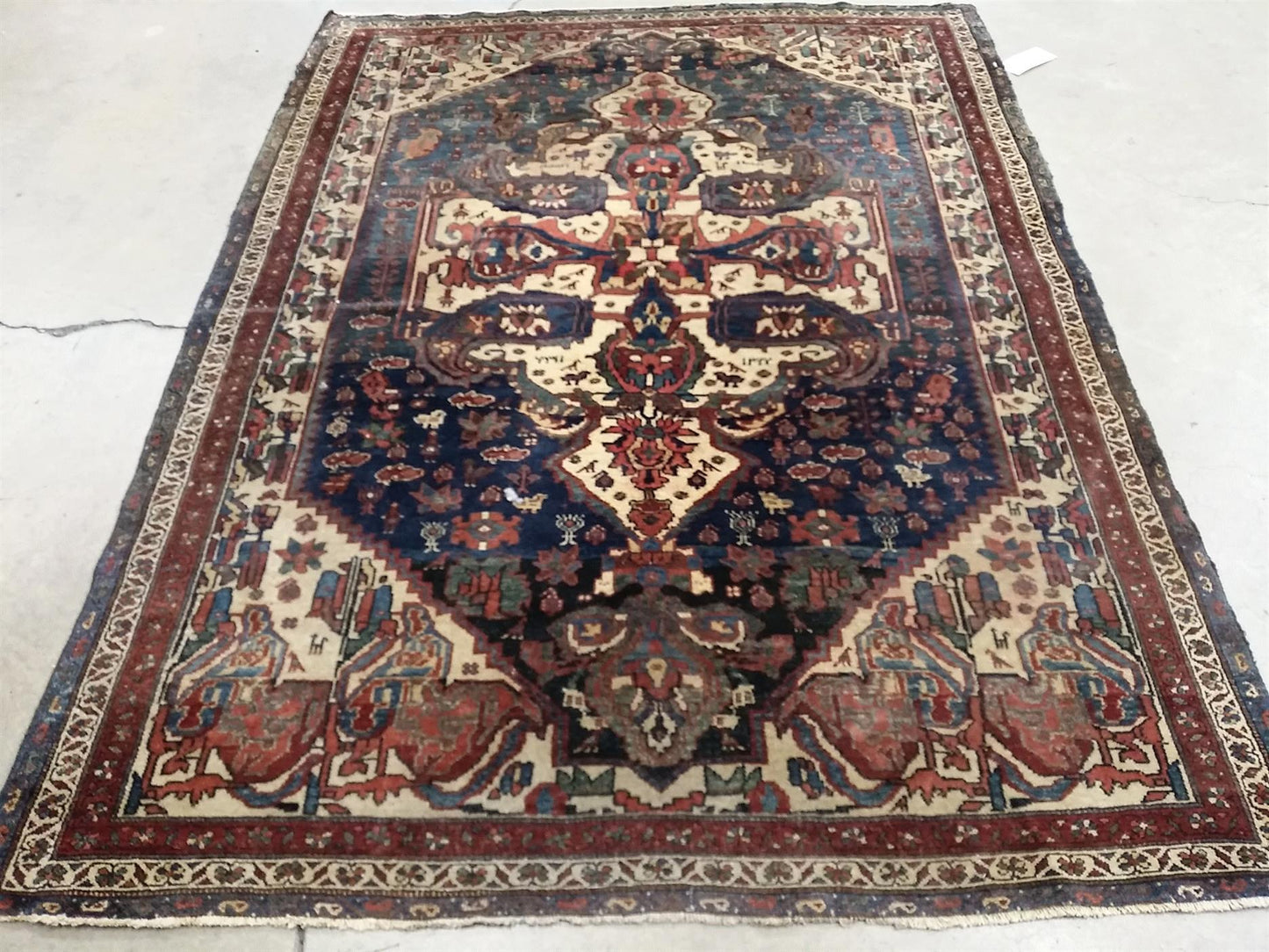 AORug#13119 size. 5' 05" x 7' 02"