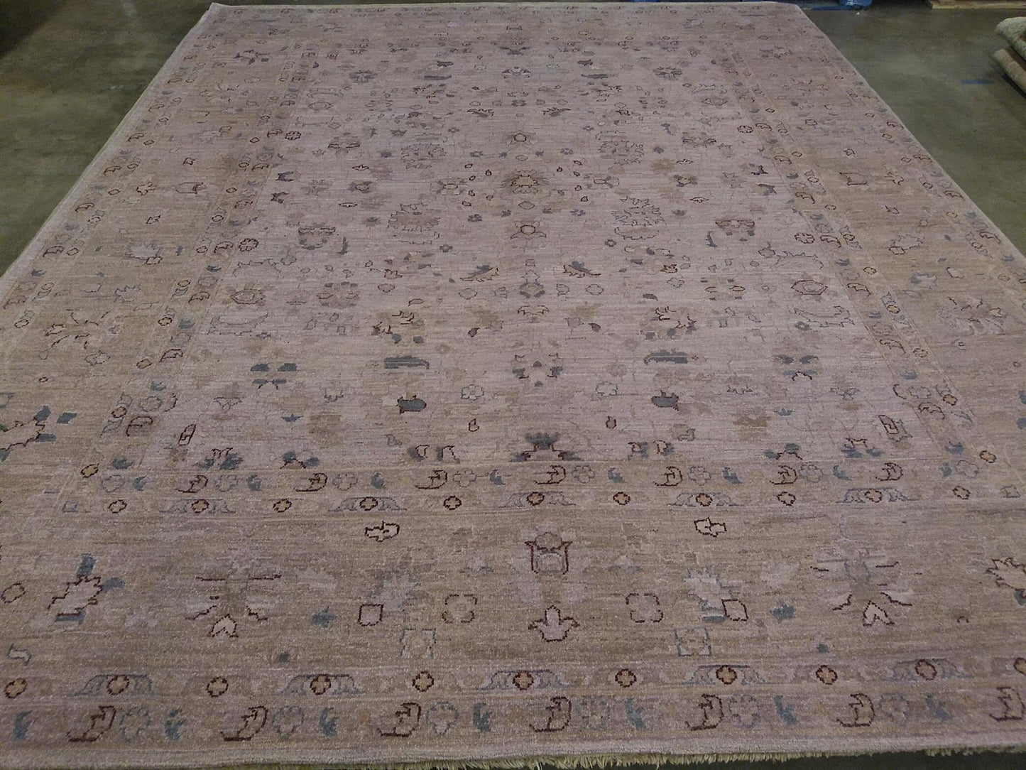 AORug#2304 size. 8' 01" x 10' 02"
