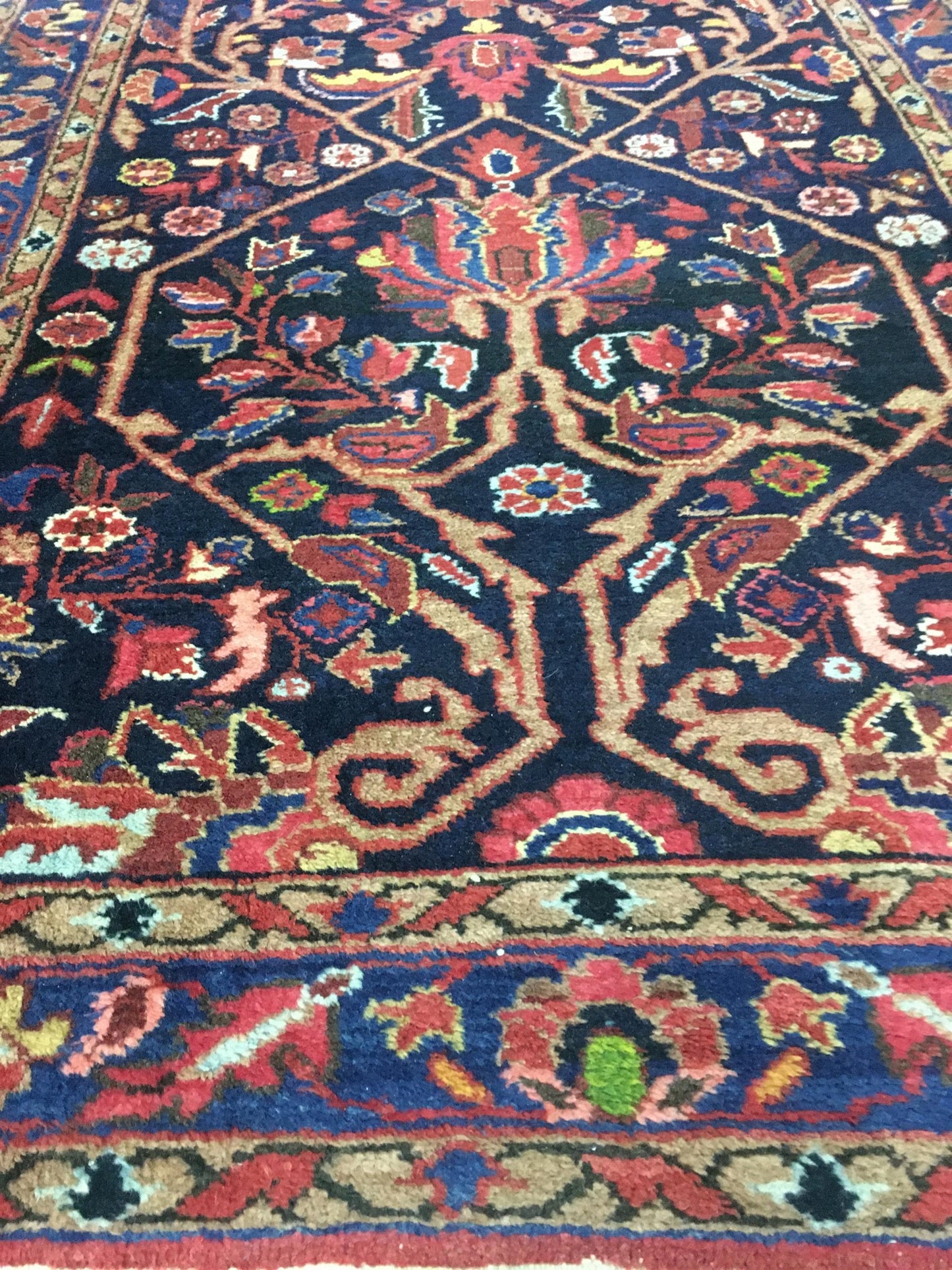 AORug#12951 size. 3' 02" x 13' 02"