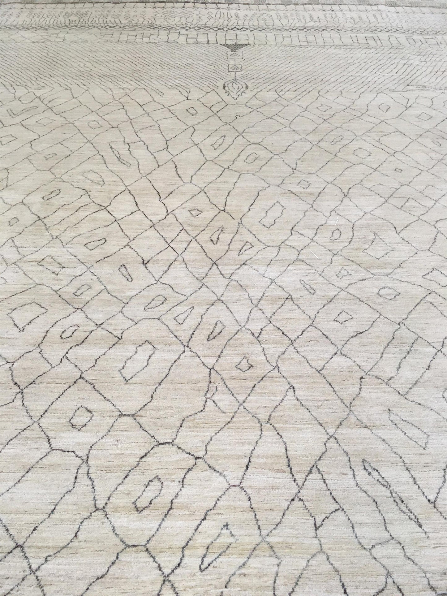 AORug#13094 size. 10'0" X 14'0"