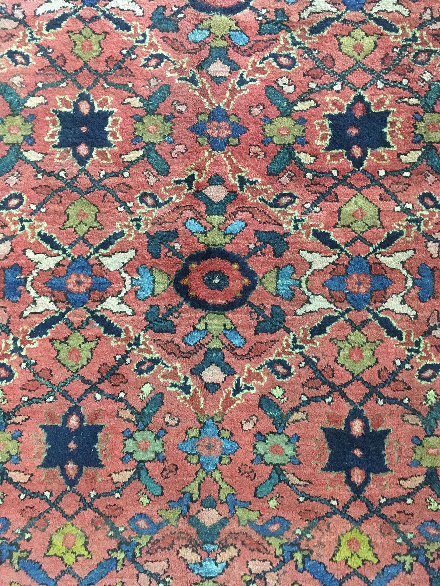 AORug#12627 size. 9' 00" x 12' 03"
