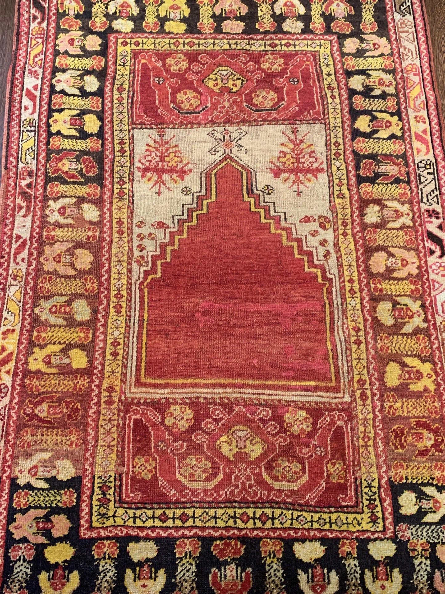 AORug#3886 size. 3' 04" x 5' 03"