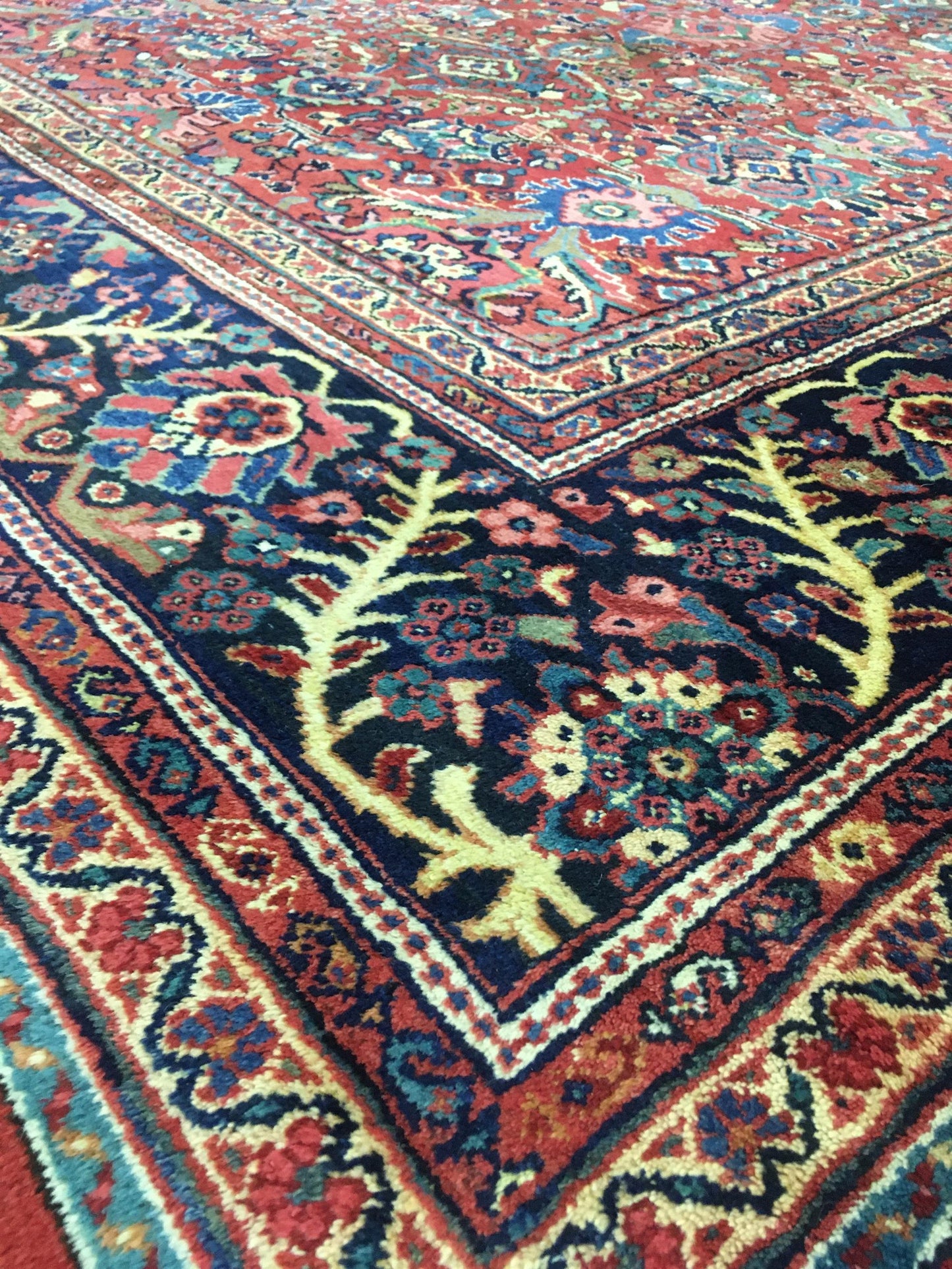 AORug#12564 size. 12' 05" x 15' 06"