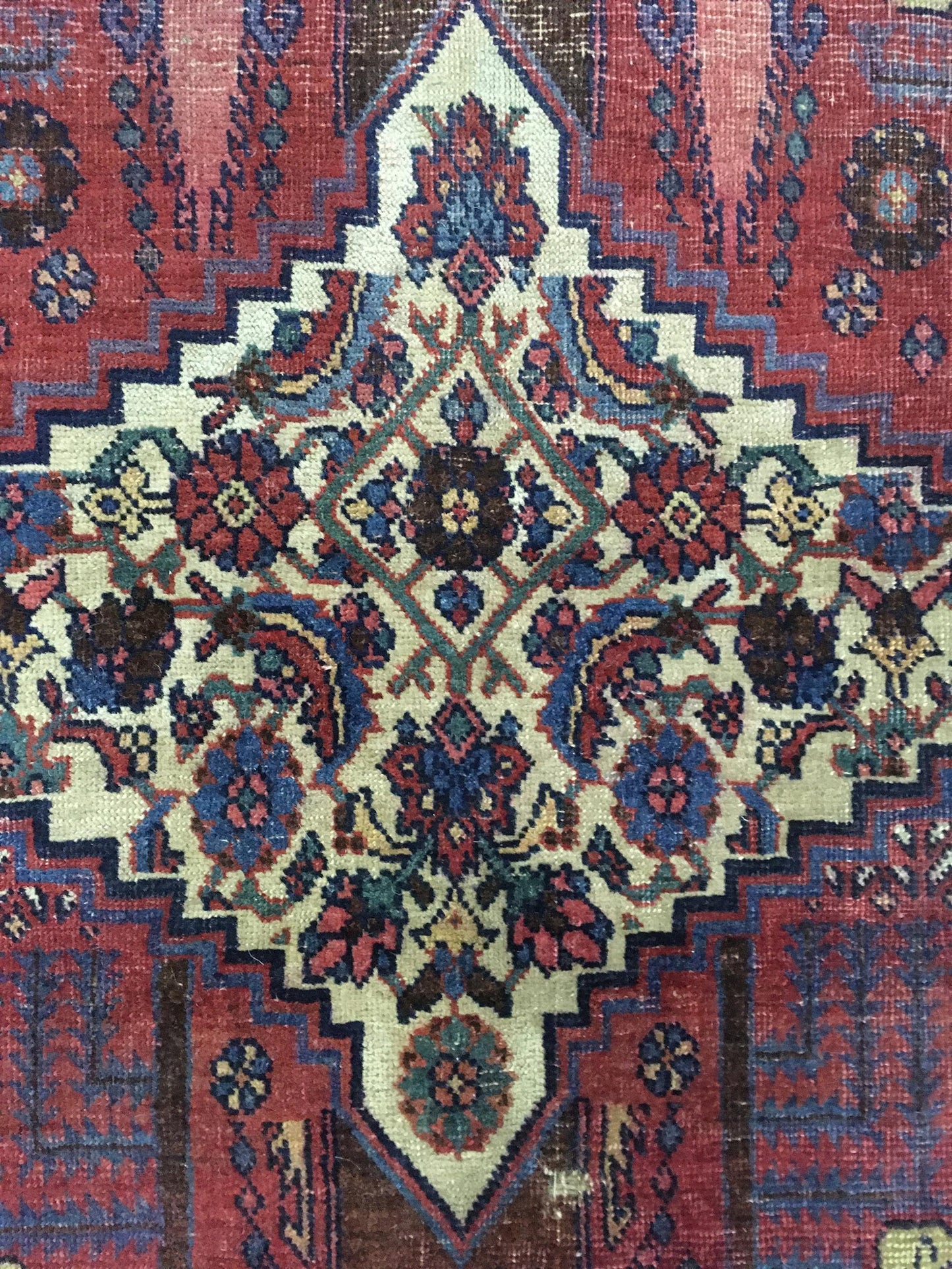 AORug#9839 size. 8' 03" x 11' 07"
