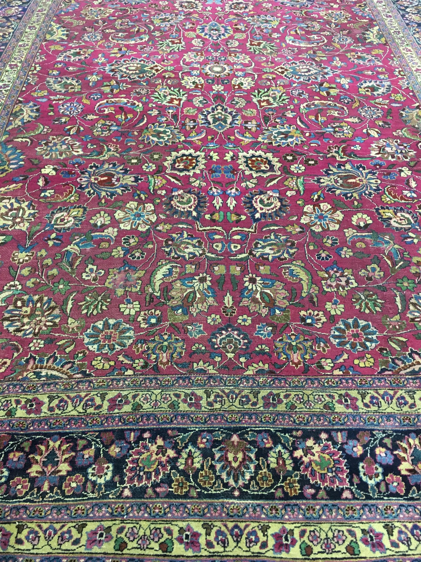 AORug#12859 size. 10' 01" x 15' 05"
