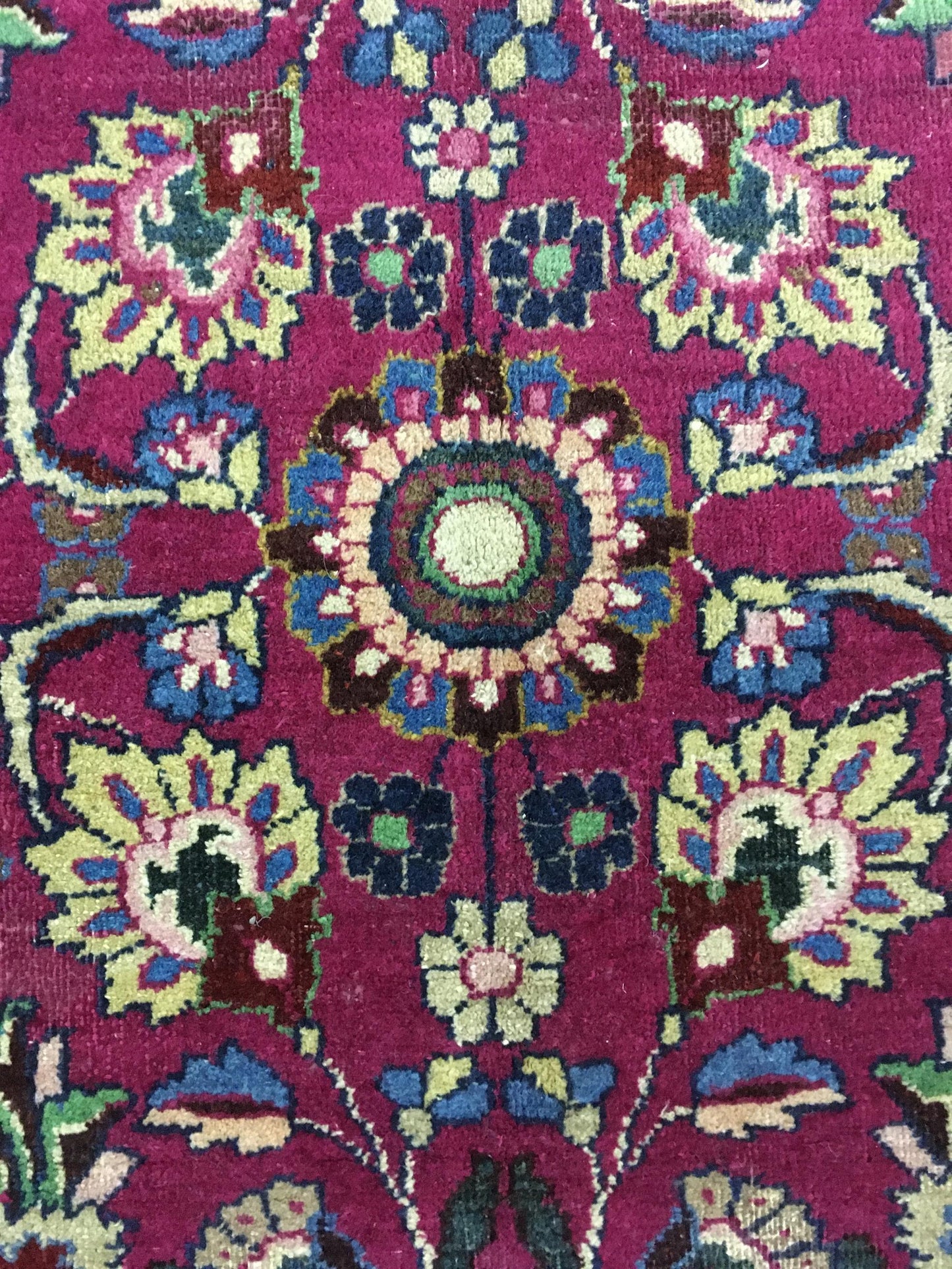 AORug#12859 size. 10' 01" x 15' 05"