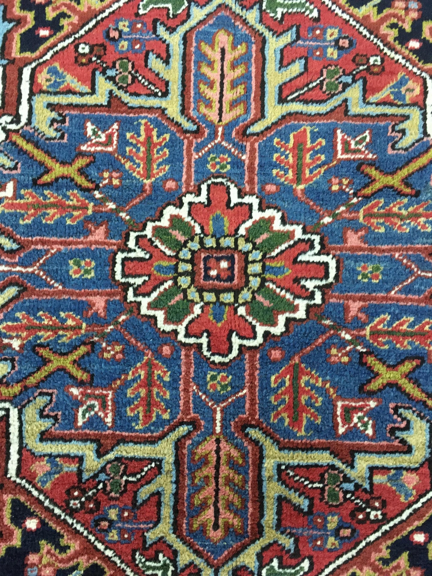 AORug#4640 size. 9' 02" x 12' 02"